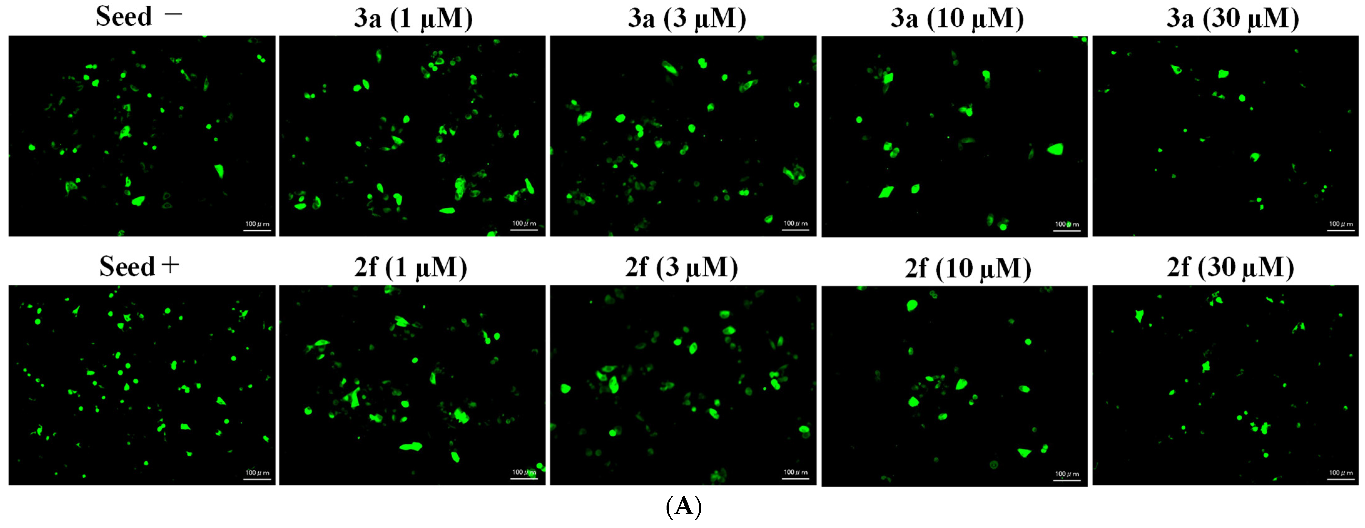 Pharmaceuticals 15 00426 g009a 550