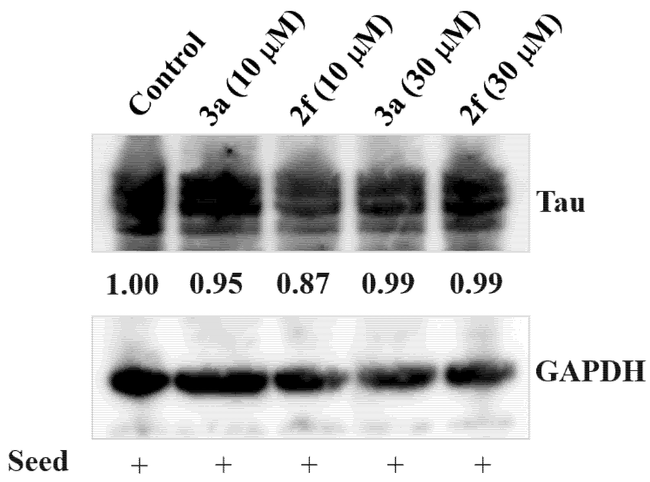 Pharmaceuticals 15 00426 g010 550
