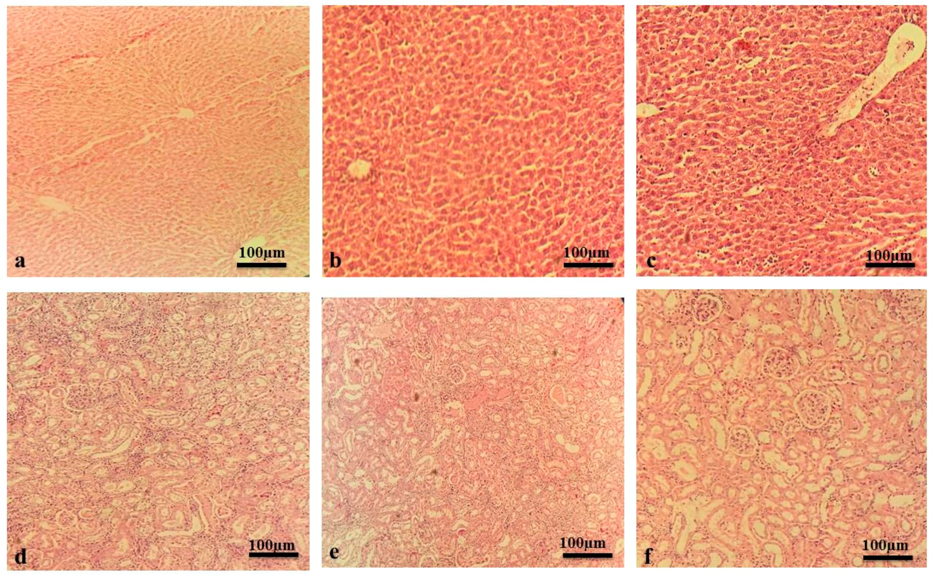 Pharmaceuticals 15 00427 g002