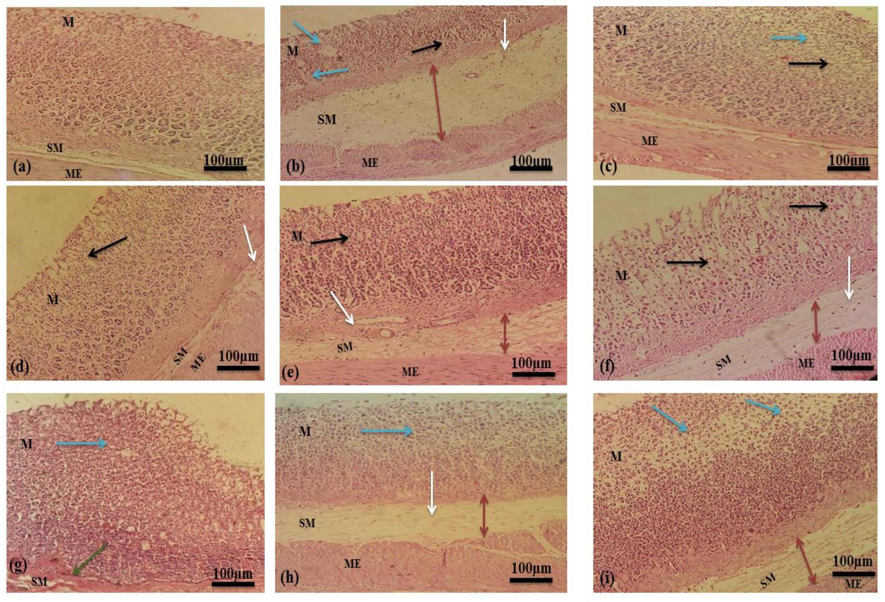 Pharmaceuticals 15 00427 g007