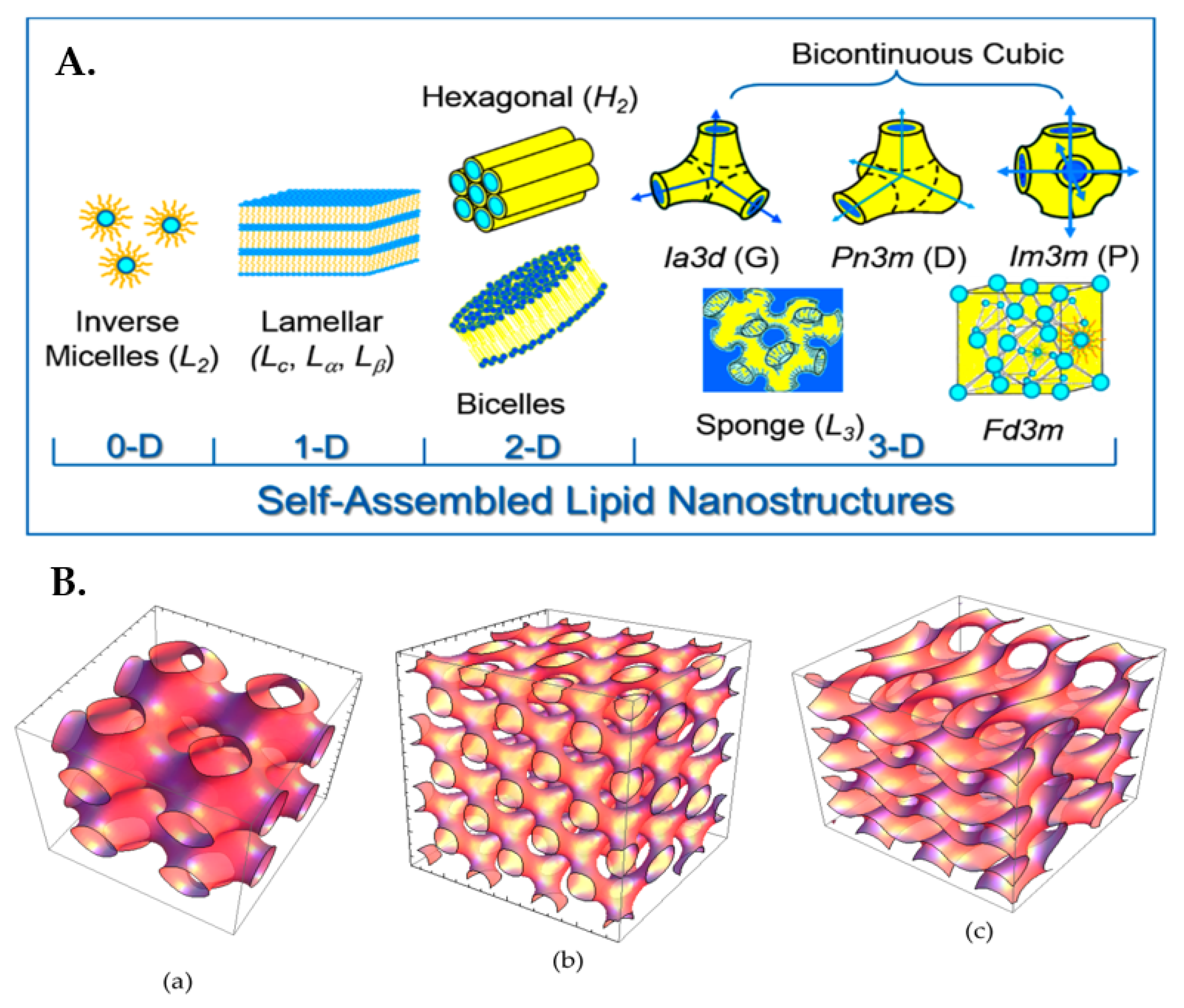 Pharmaceuticals Free FullText Lyotropic Liquid Crystalline