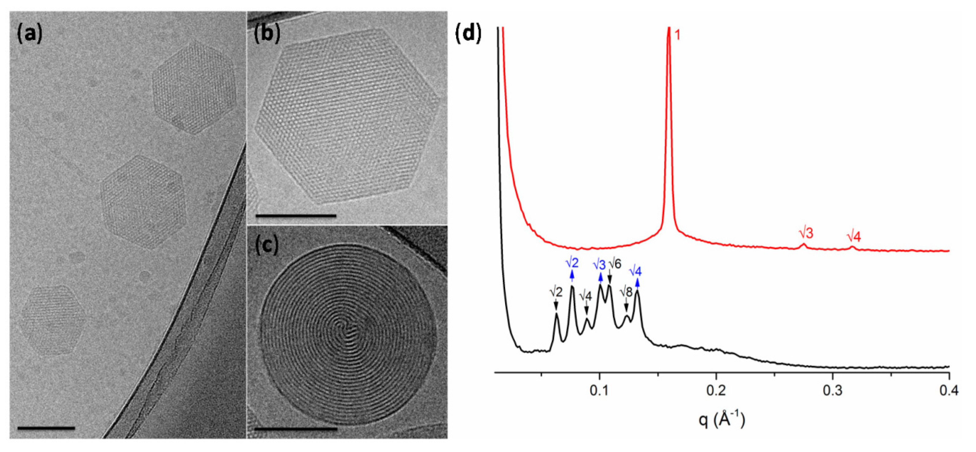 Pharmaceuticals 15 00429 g003 Pharmaceuticals 15 00429 g003