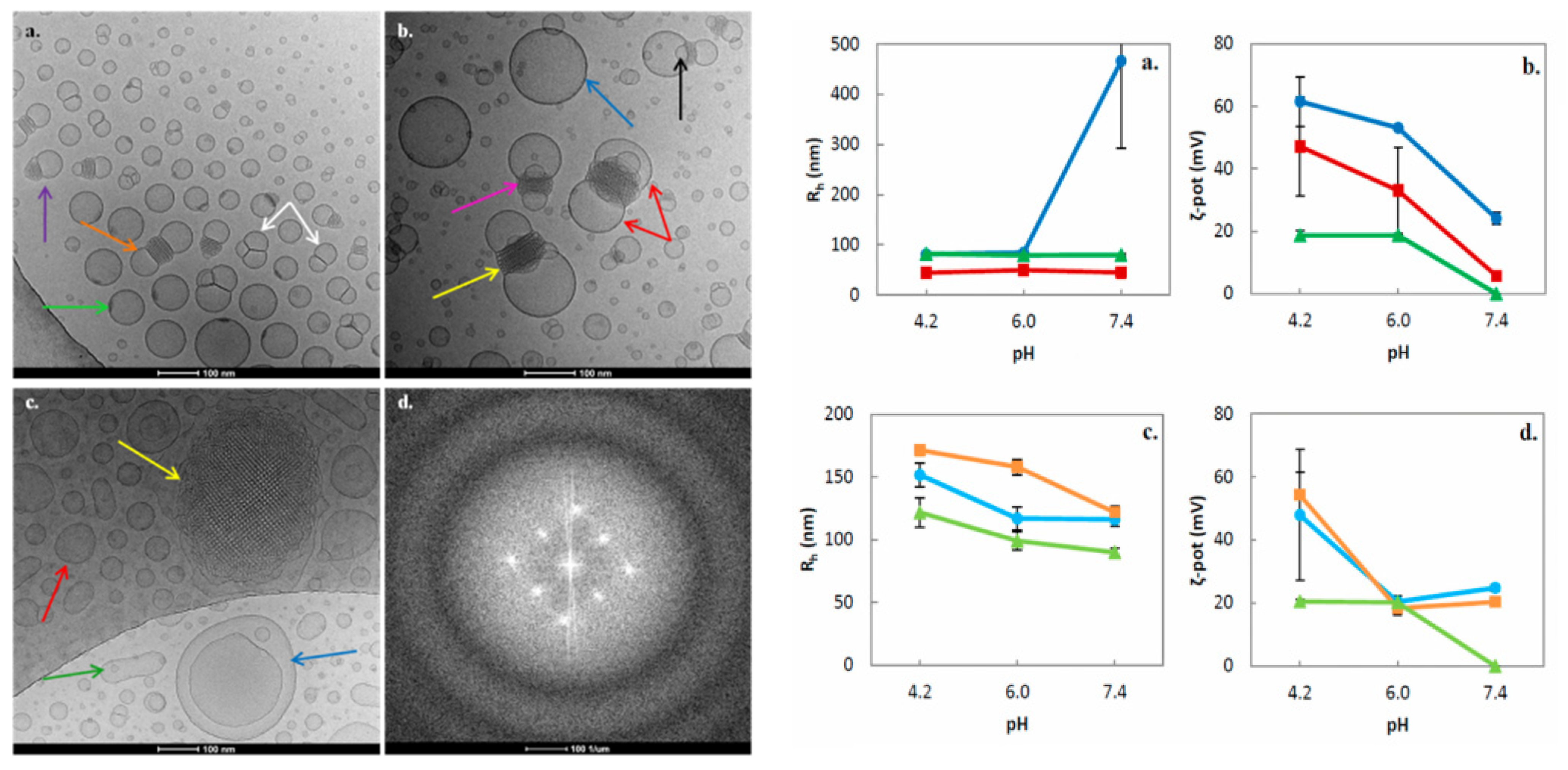 Pharmaceuticals 15 00429 g005 Pharmaceuticals 15 00429 g005
