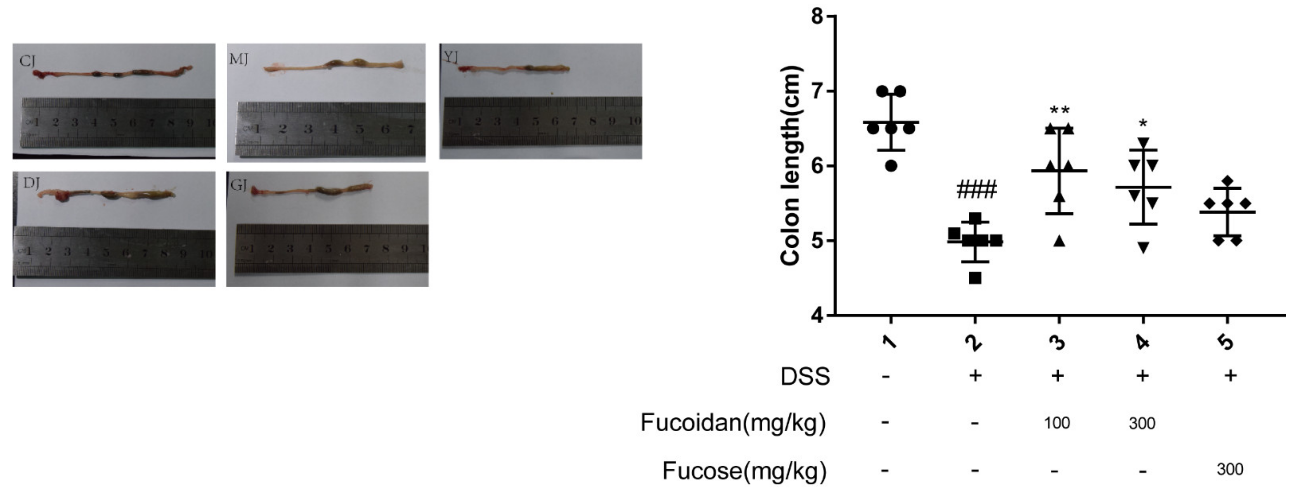 Pharmaceuticals 15 00430 g002