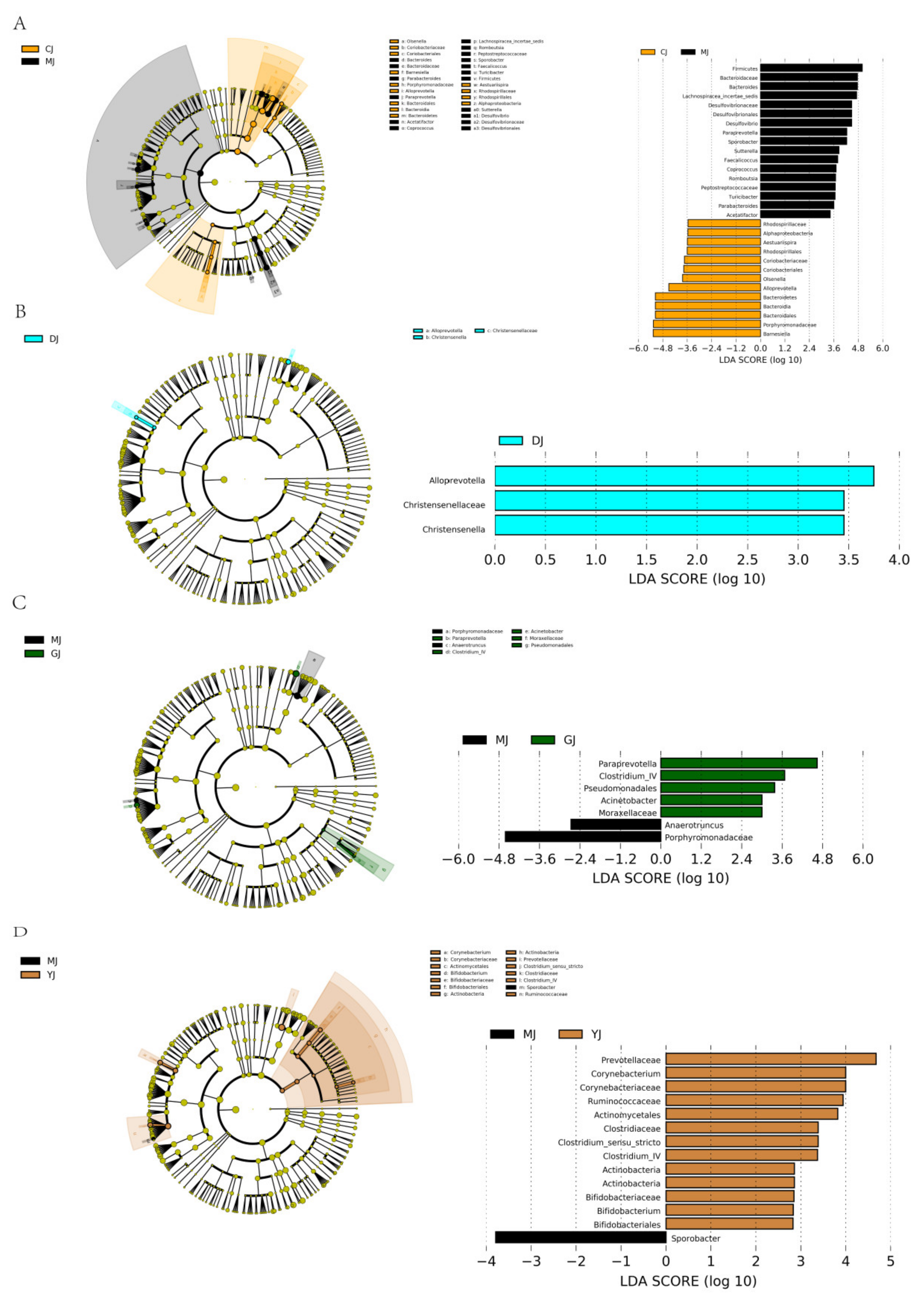 Pharmaceuticals 15 00430 g009