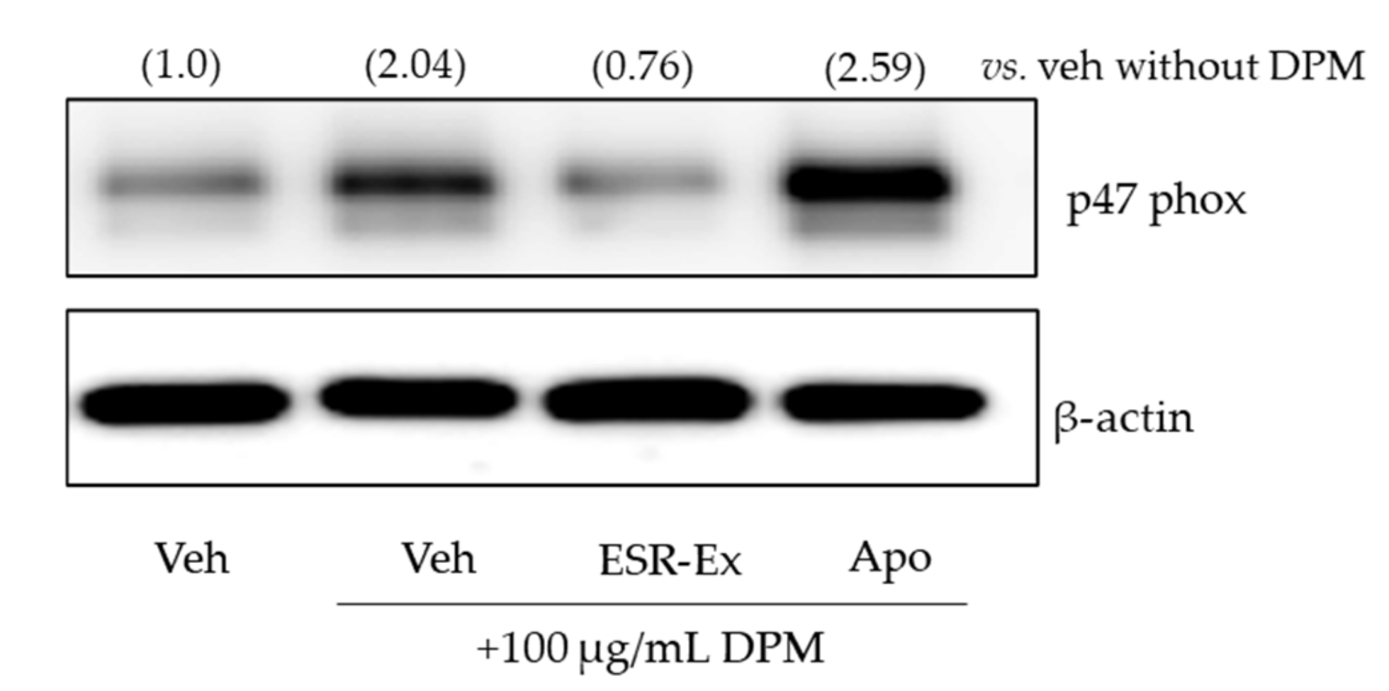 Pharmaceuticals 15 00431 g007