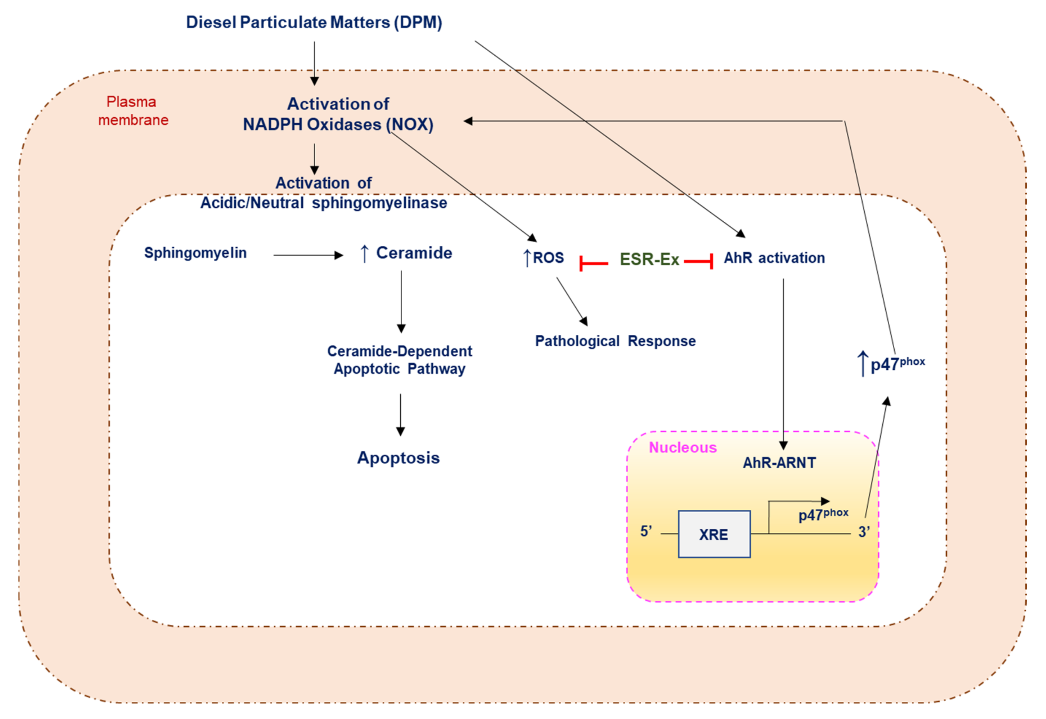 Pharmaceuticals 15 00431 g009