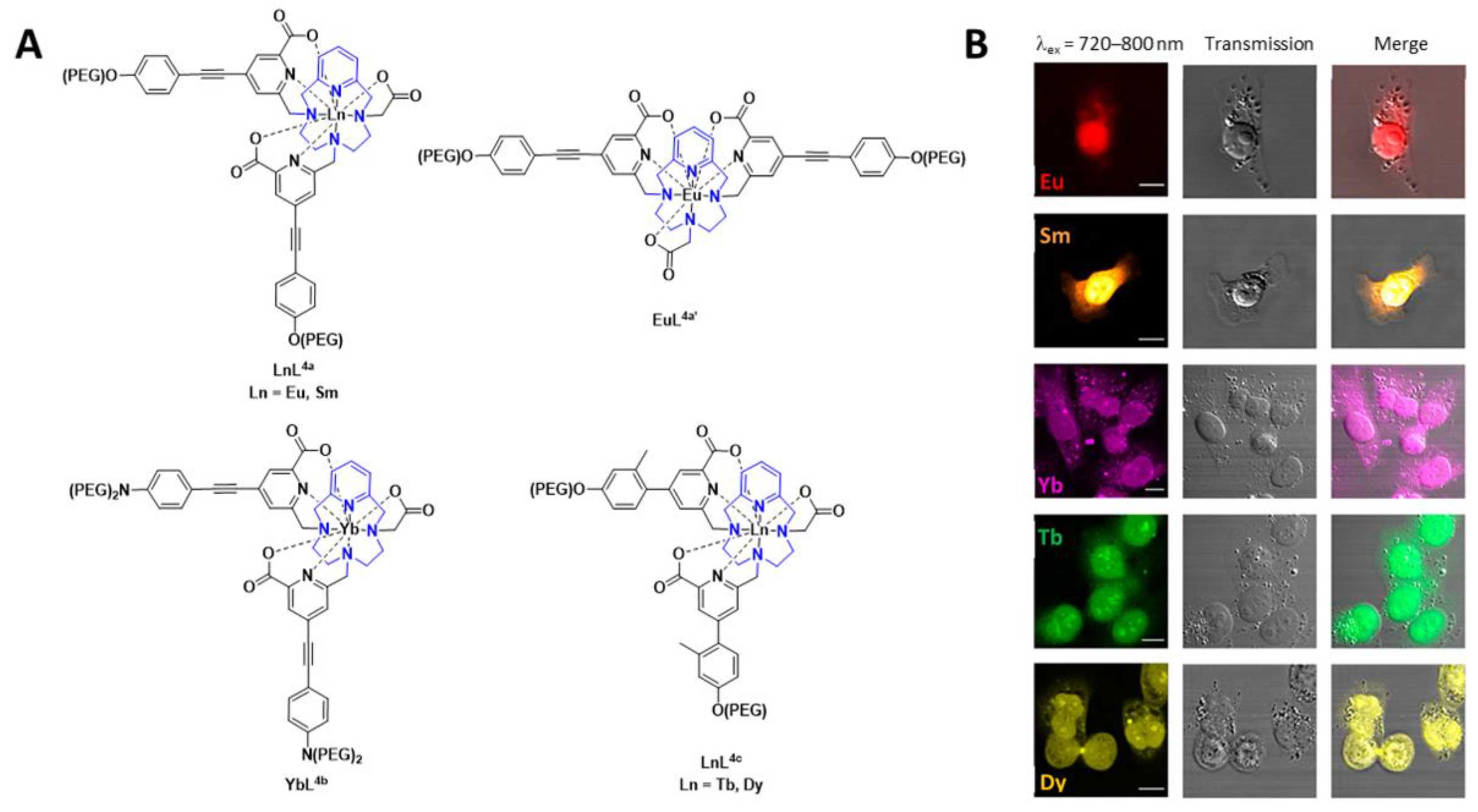 Pharmaceuticals 15 00432 g005