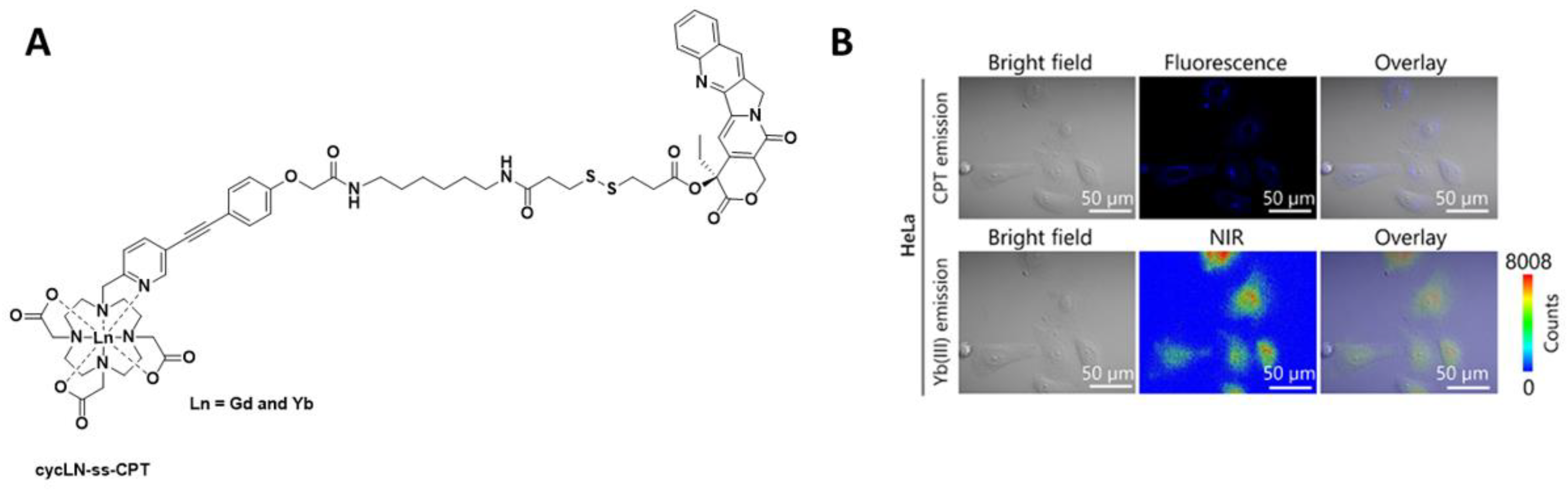 Pharmaceuticals 15 00432 g006