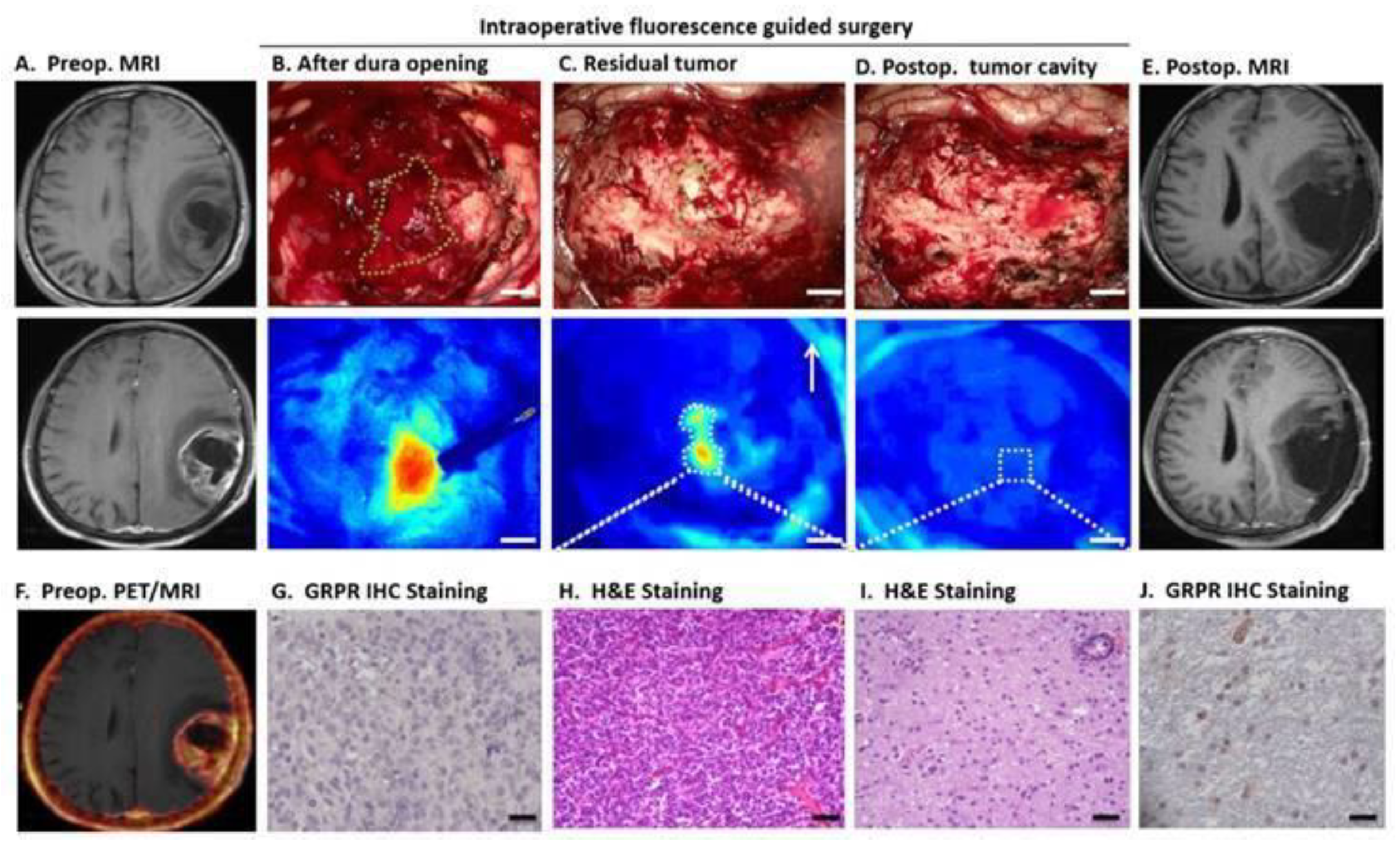 Pharmaceuticals 15 00432 g012