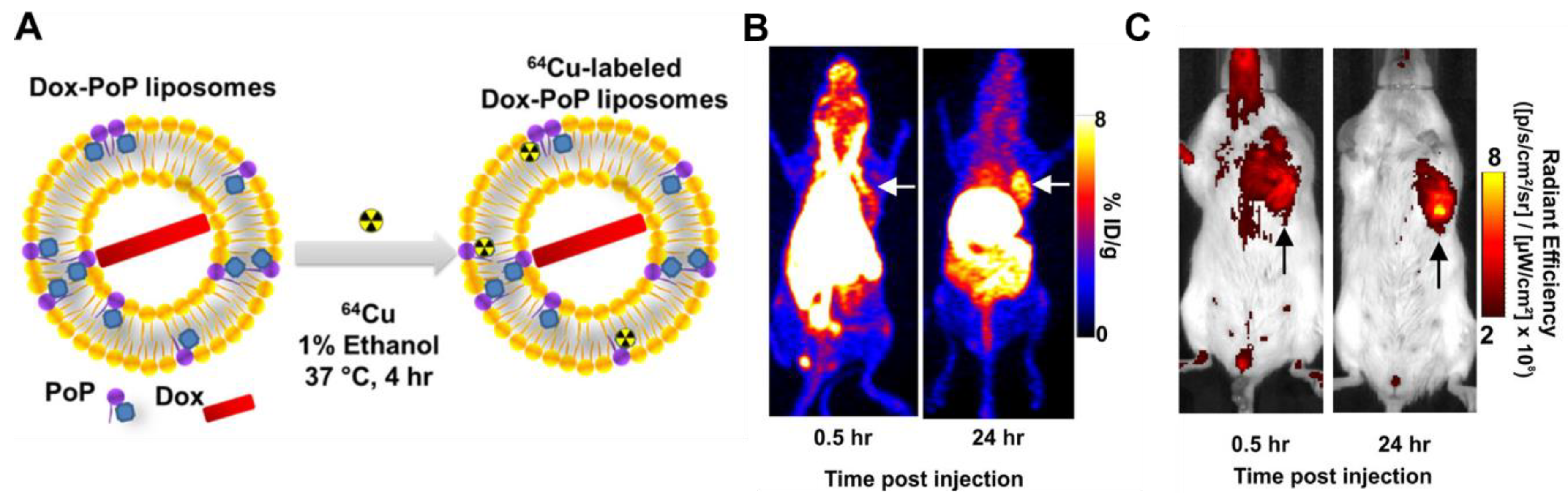 Pharmaceuticals 15 00432 g013