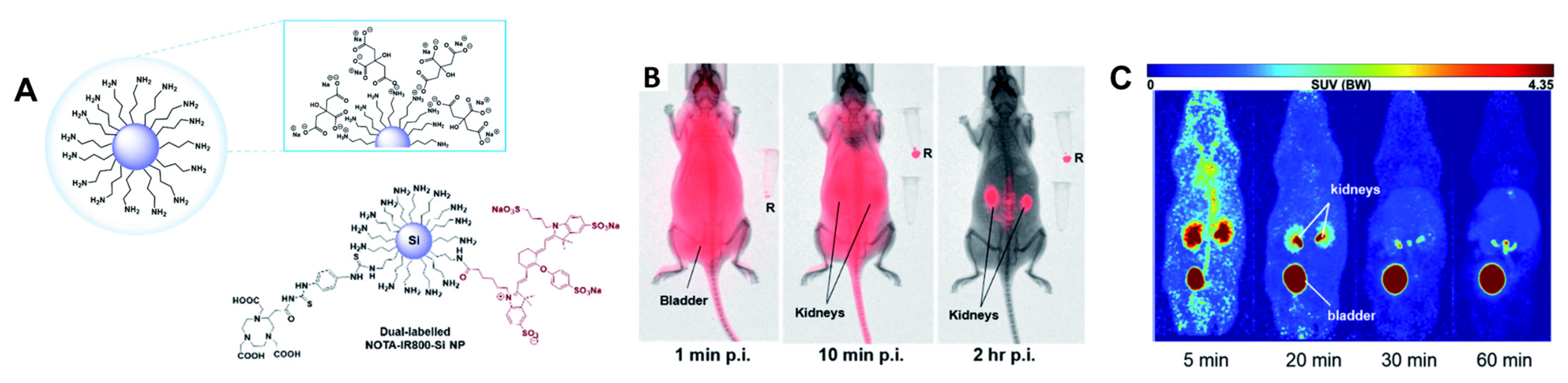 Pharmaceuticals 15 00432 g014