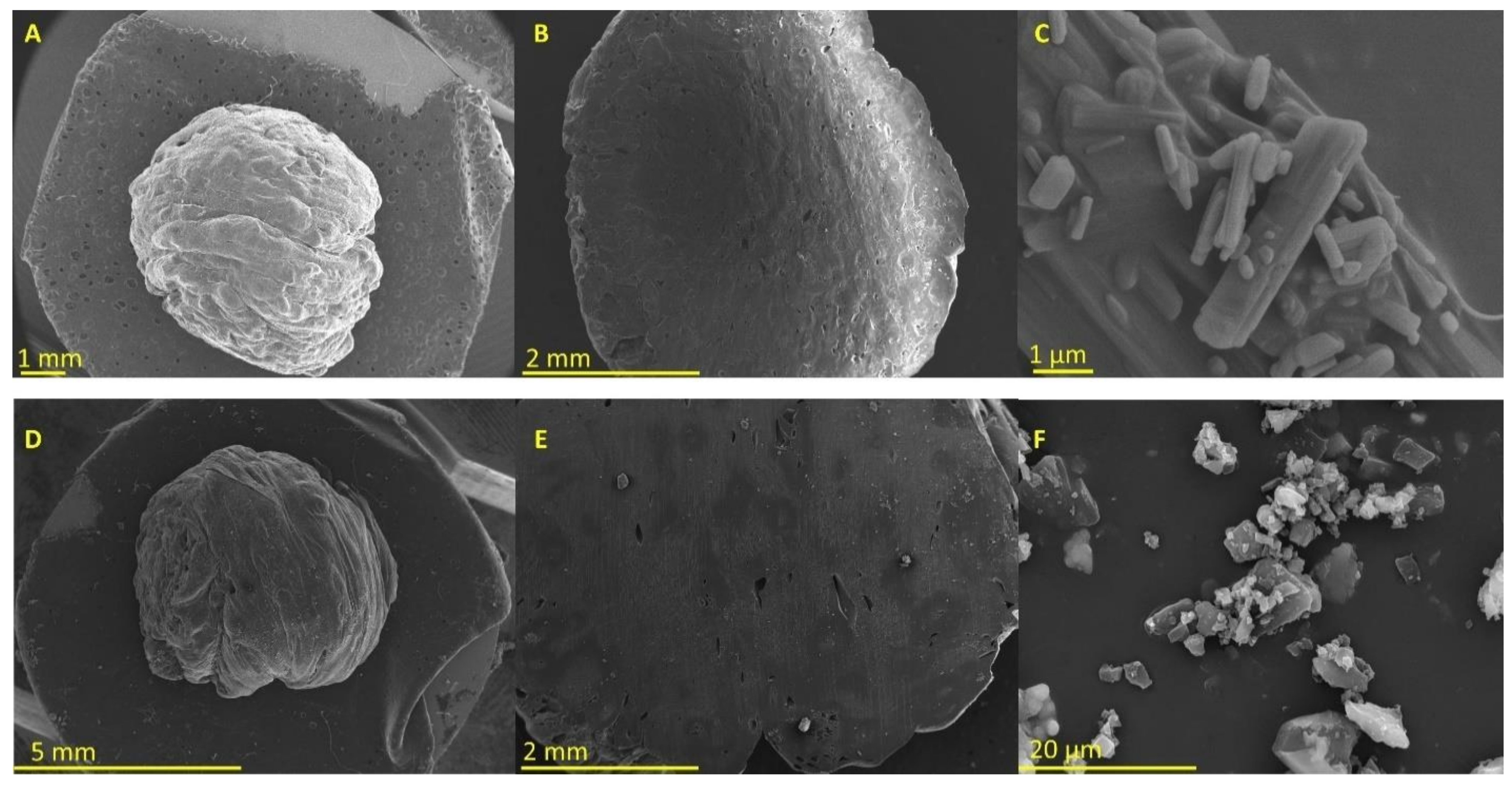 Pharmaceuticals 15 00435 g001 Pharmaceuticals 15 00435 g001
