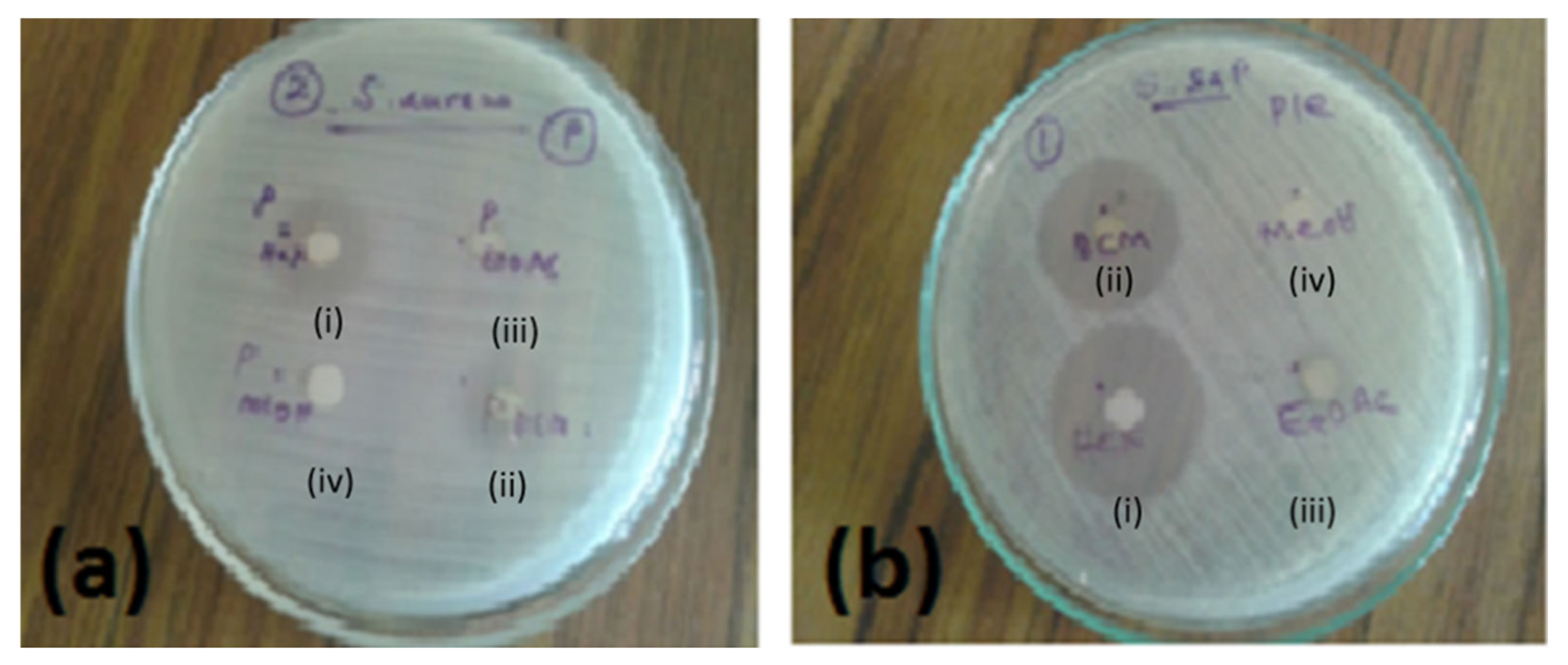 Pharmaceuticals 15 00436 g001