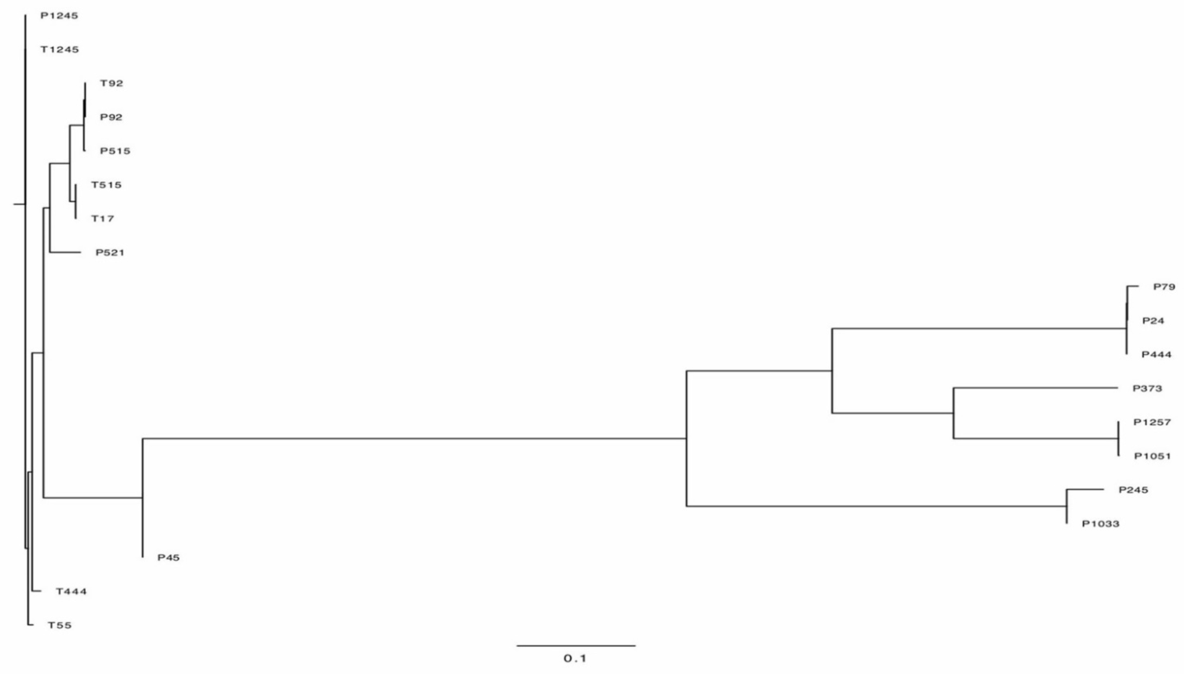 Pharmaceuticals 15 00443 g007 Pharmaceuticals 15 00443 g007