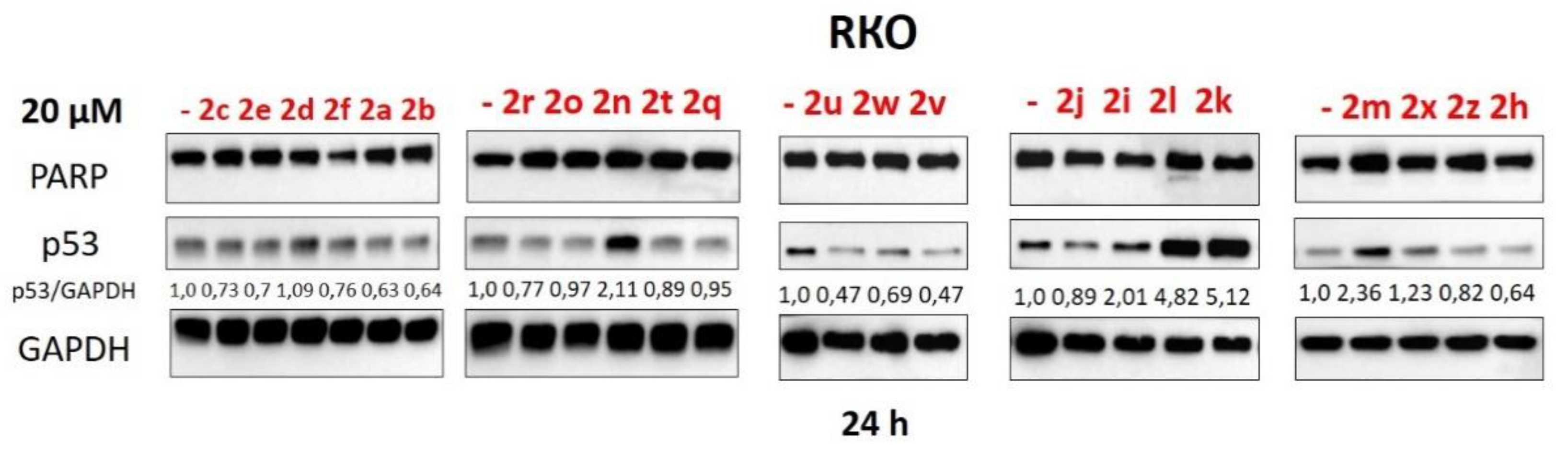Pharmaceuticals 15 00444 g003 550