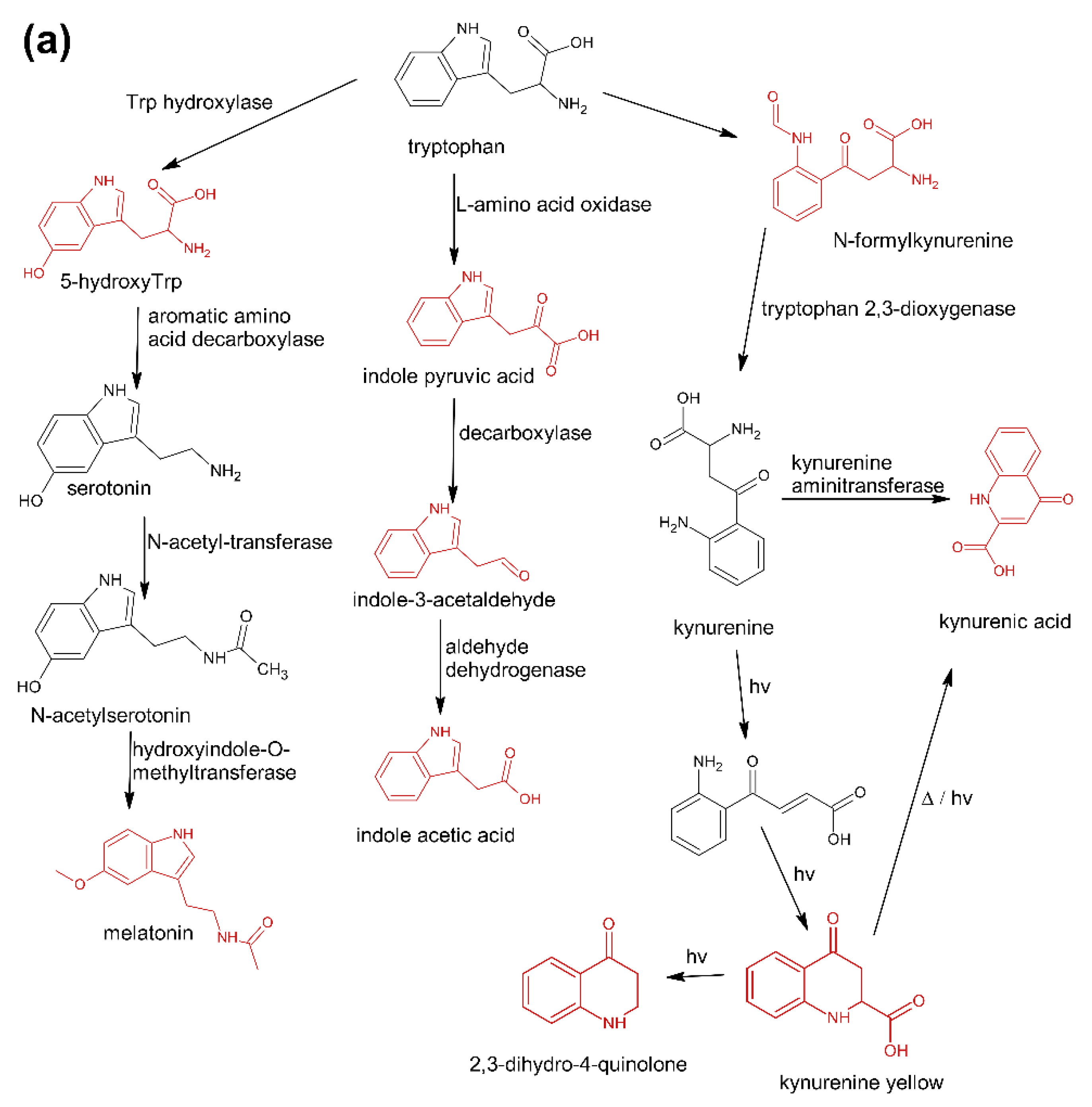 Pharmaceuticals 15 00448 g001a