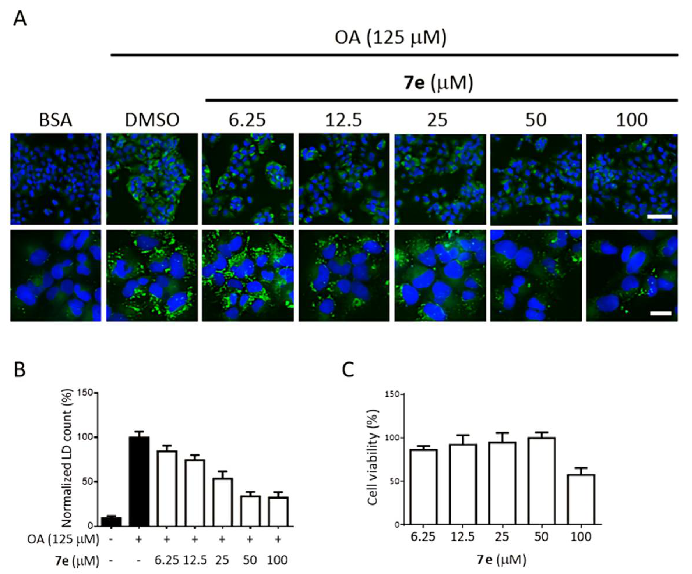 Pharmaceuticals 15 00449 g002