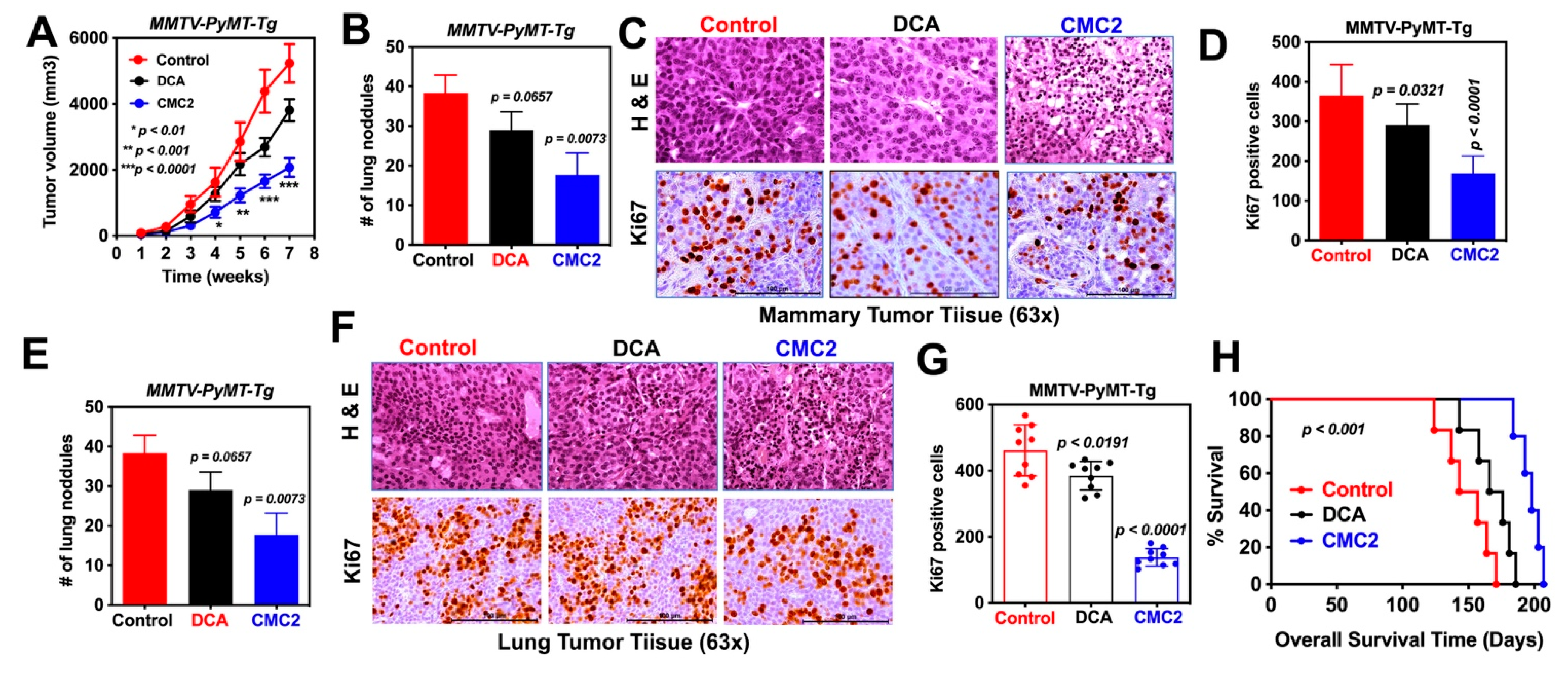Pharmaceuticals 15 00451 g007 550