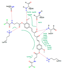 Pharmaceuticals 15 00451 i009