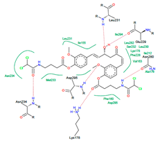 Pharmaceuticals 15 00451 i011
