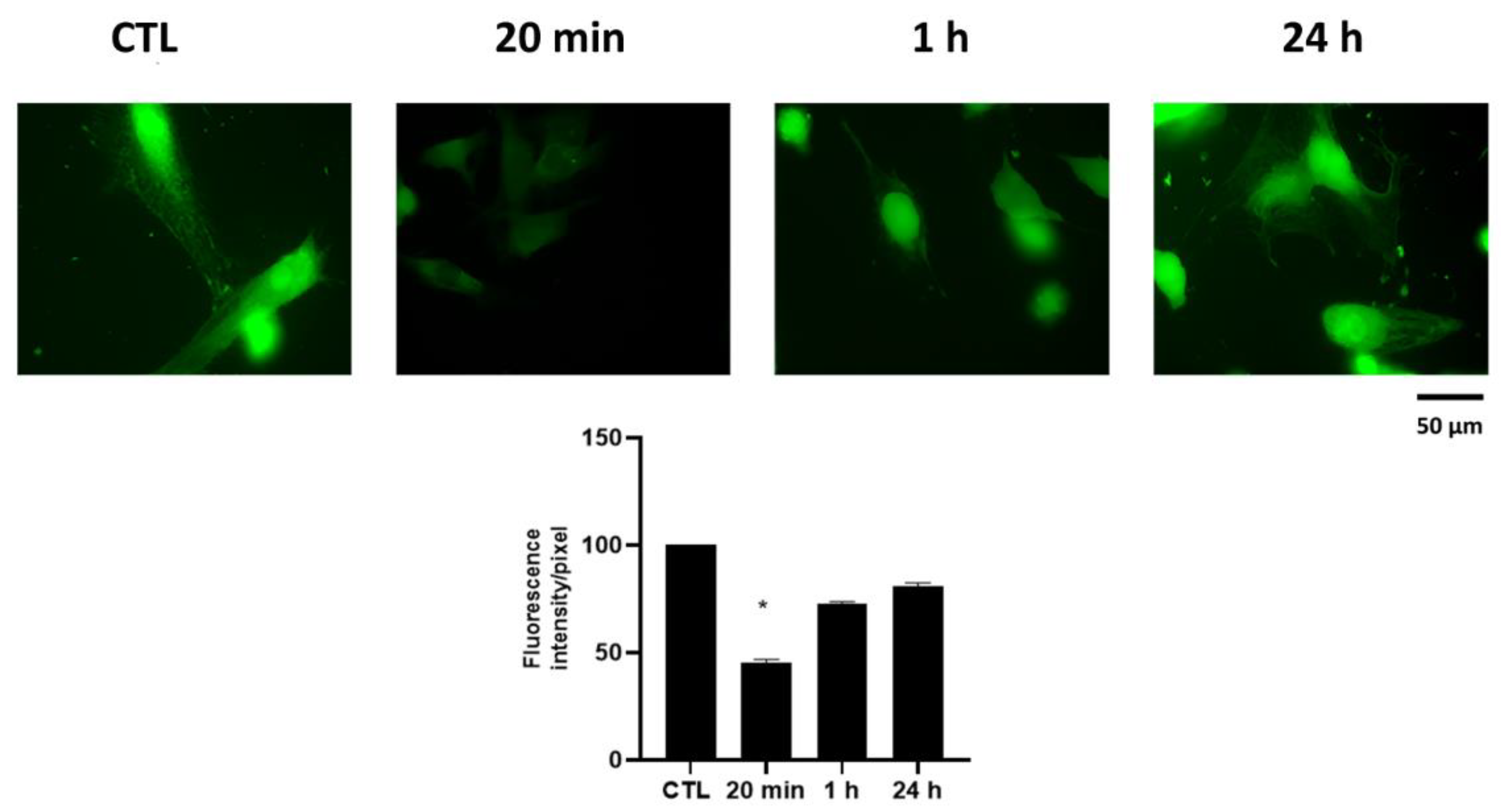 Pharmaceuticals 15 00457 g008