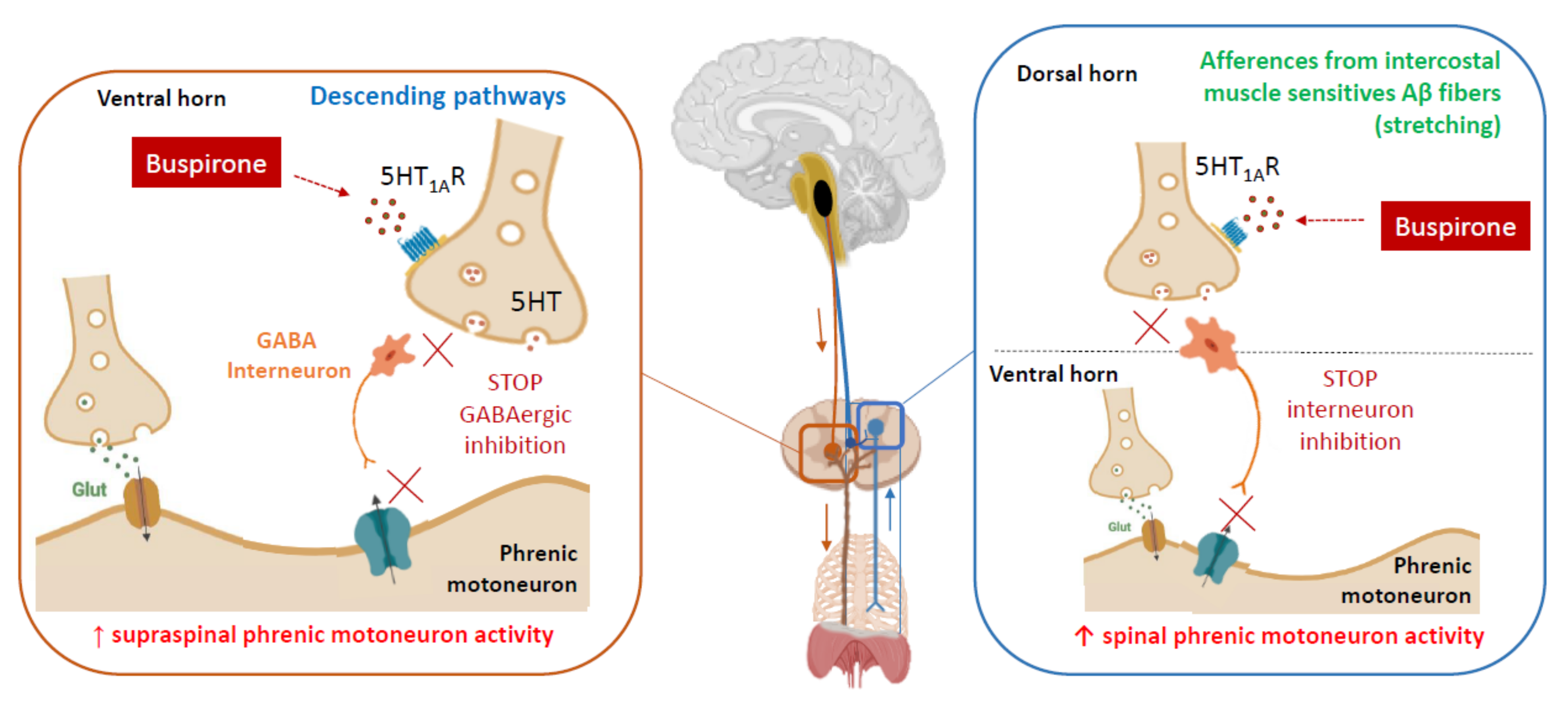 Pharmaceuticals 15 00460 g002 Pharmaceuticals 15 00460 g002