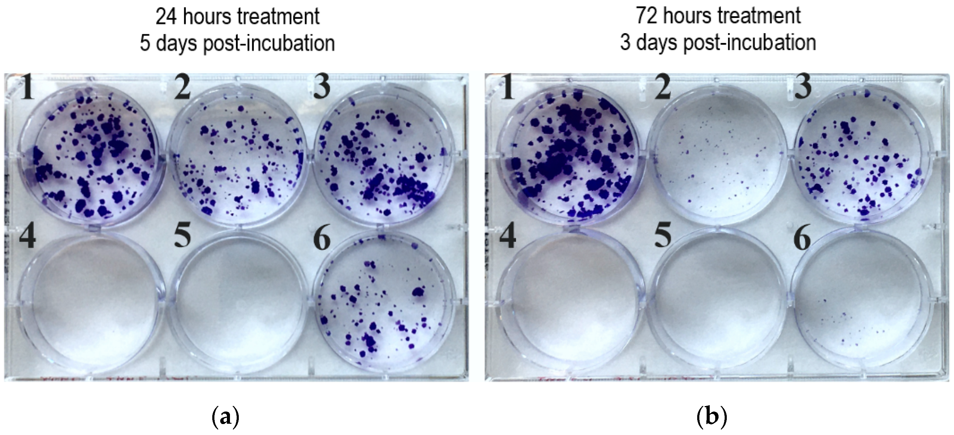 Pharmaceuticals 15 00468 g003 Pharmaceuticals 15 00468 g003
