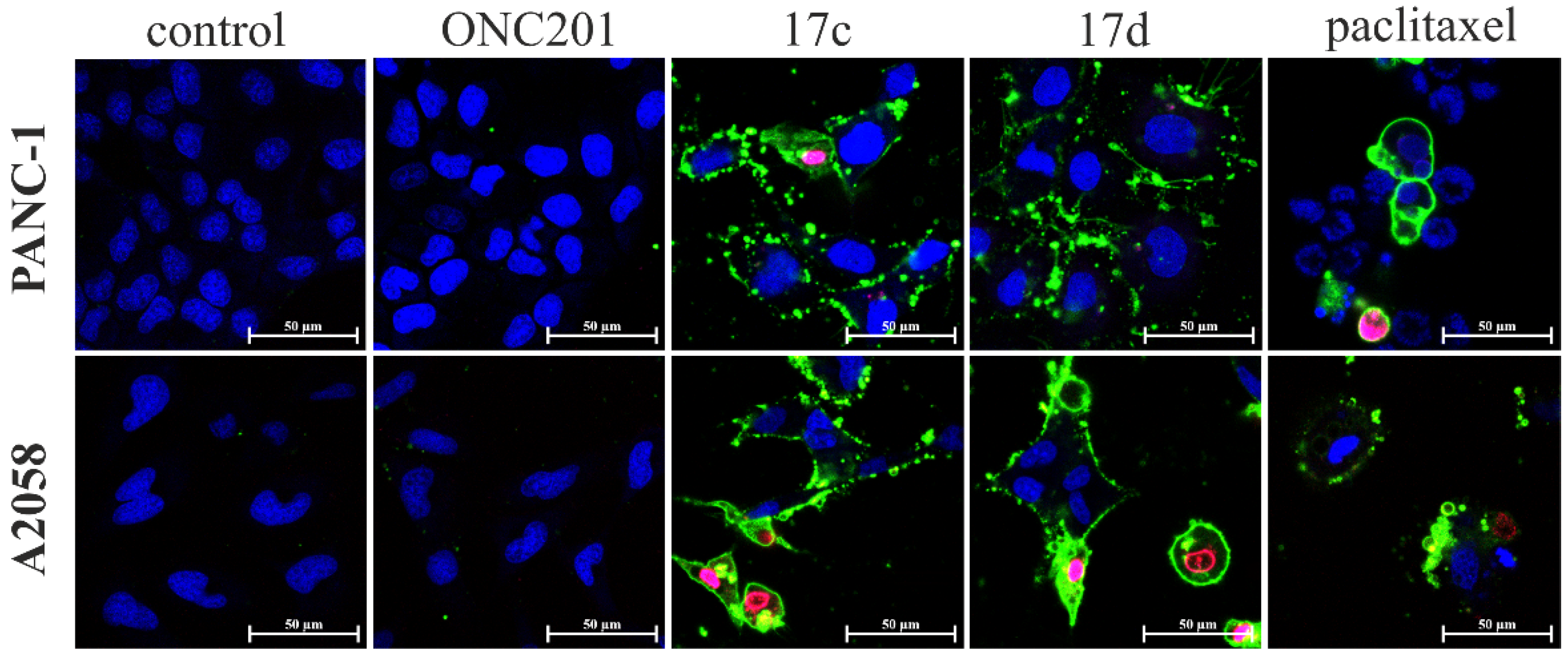 Pharmaceuticals 15 00468 g005 Pharmaceuticals 15 00468 g005