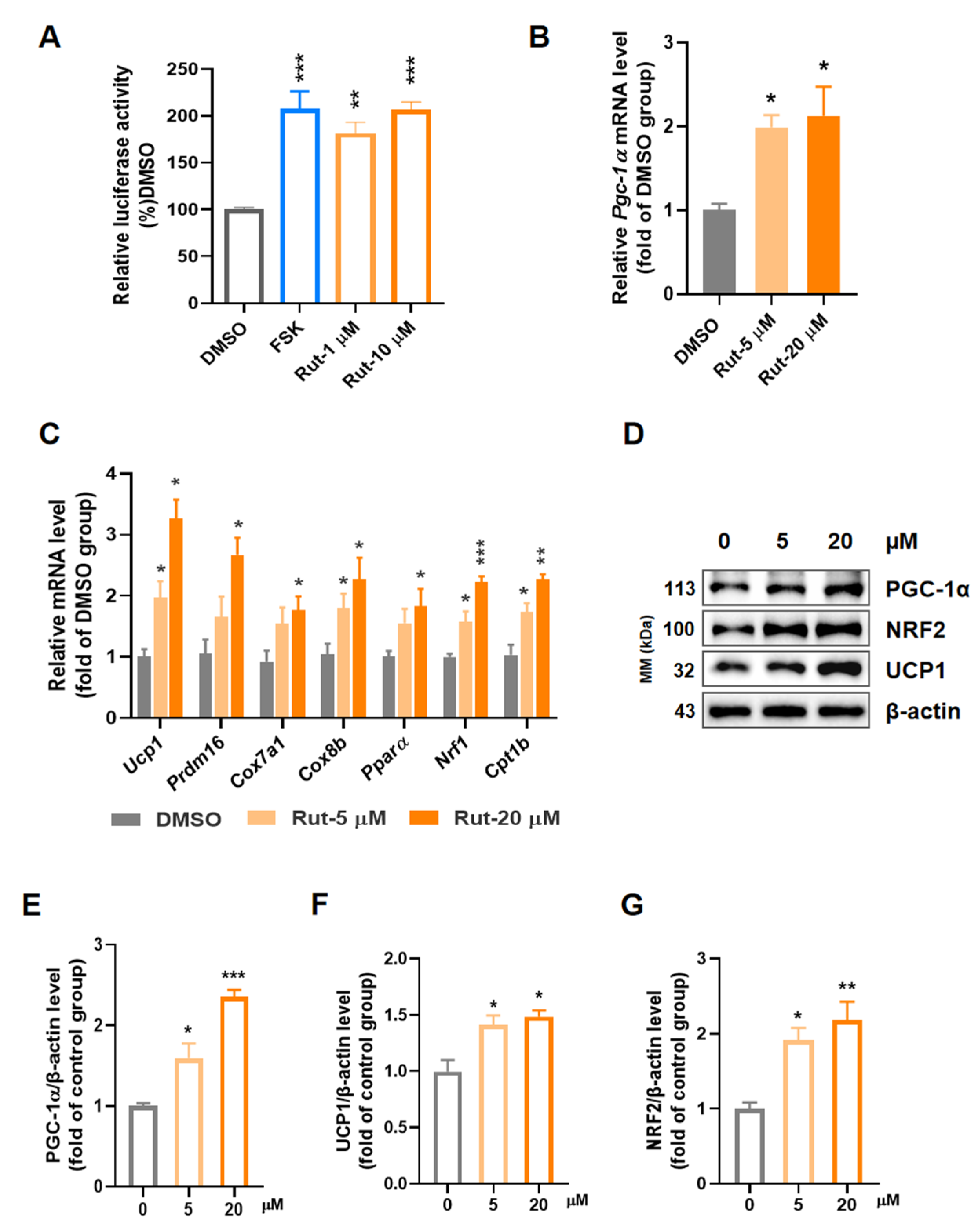 Pharmaceuticals 15 00469 g001 550