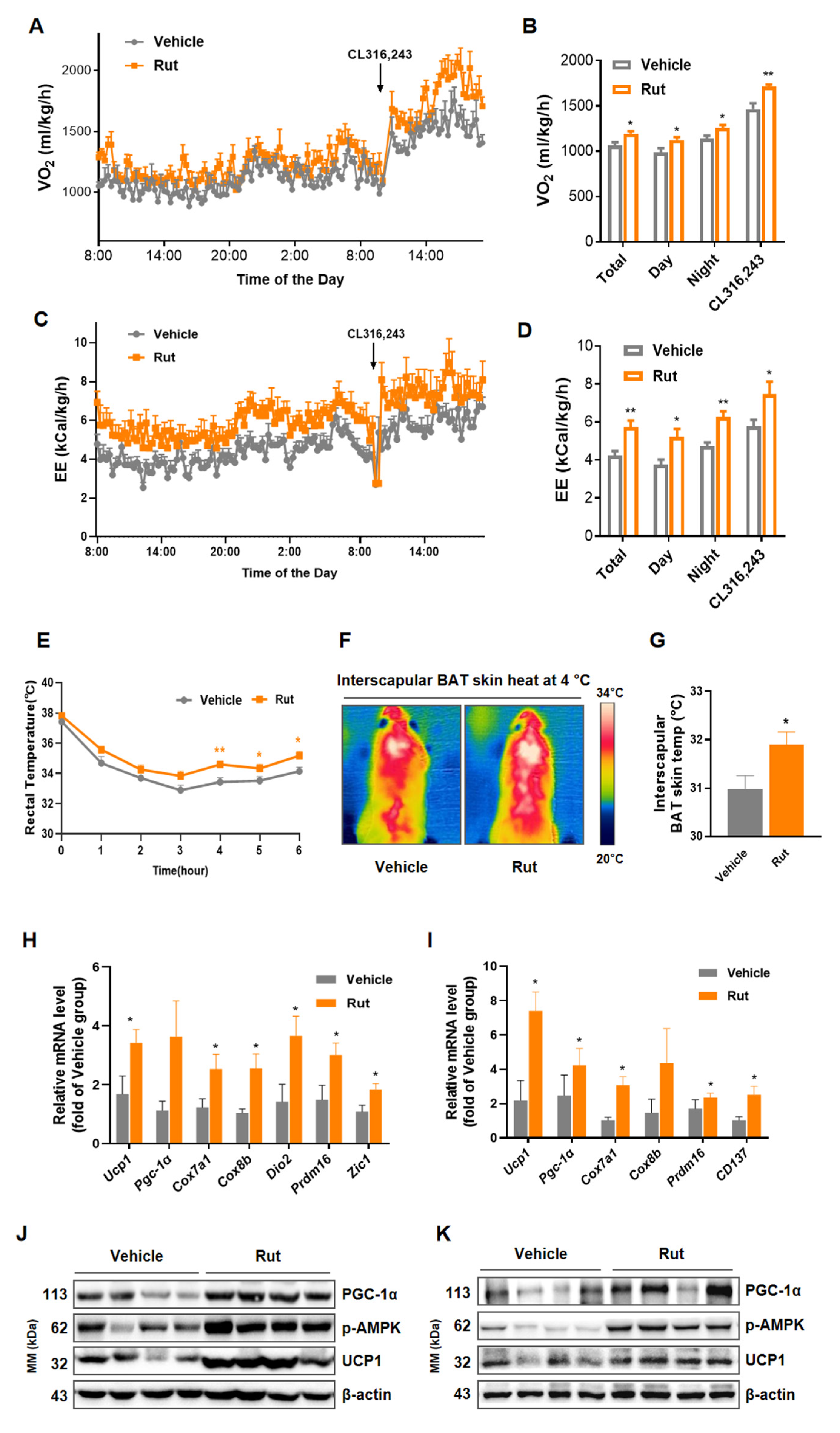 Pharmaceuticals 15 00469 g004 550