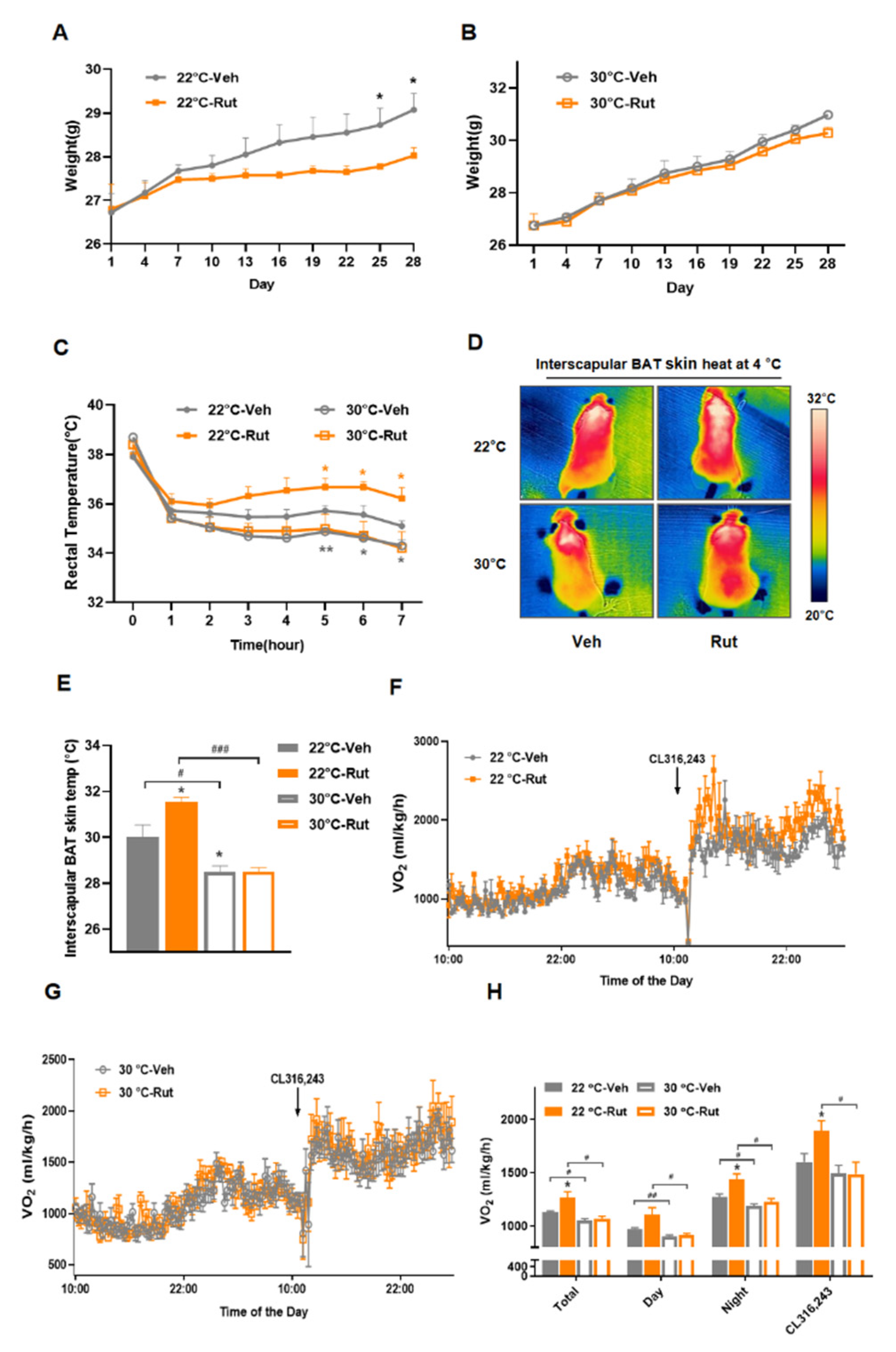 Pharmaceuticals 15 00469 g005 550