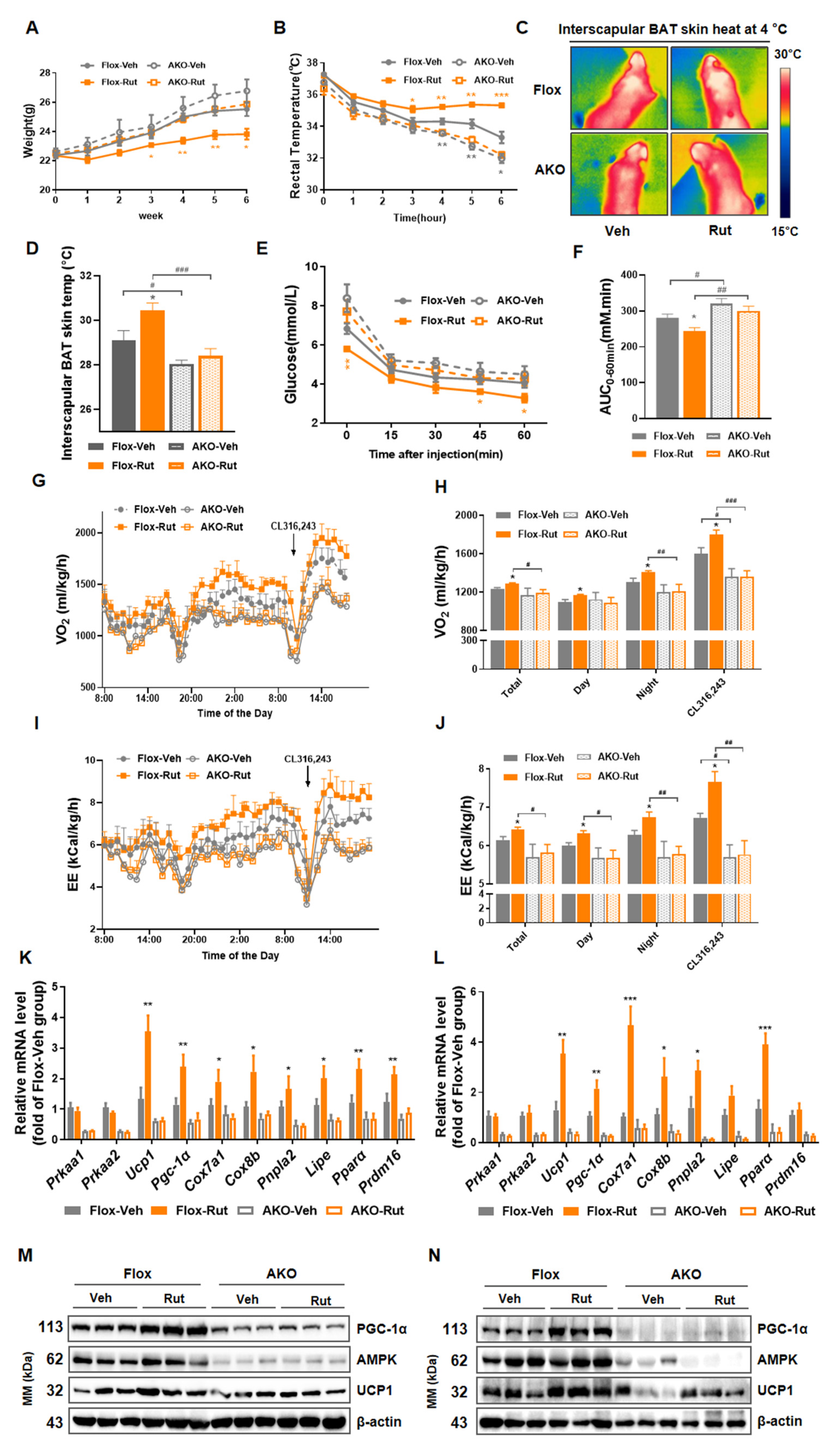 Pharmaceuticals 15 00469 g007 550