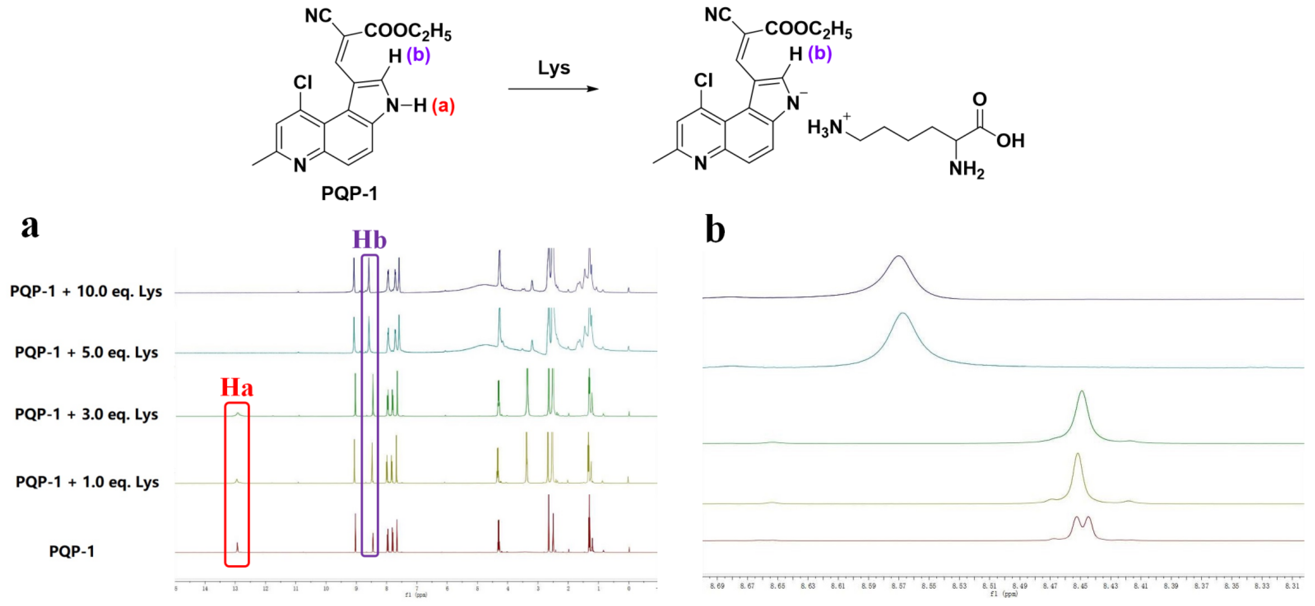 Pharmaceuticals 15 00474 g005