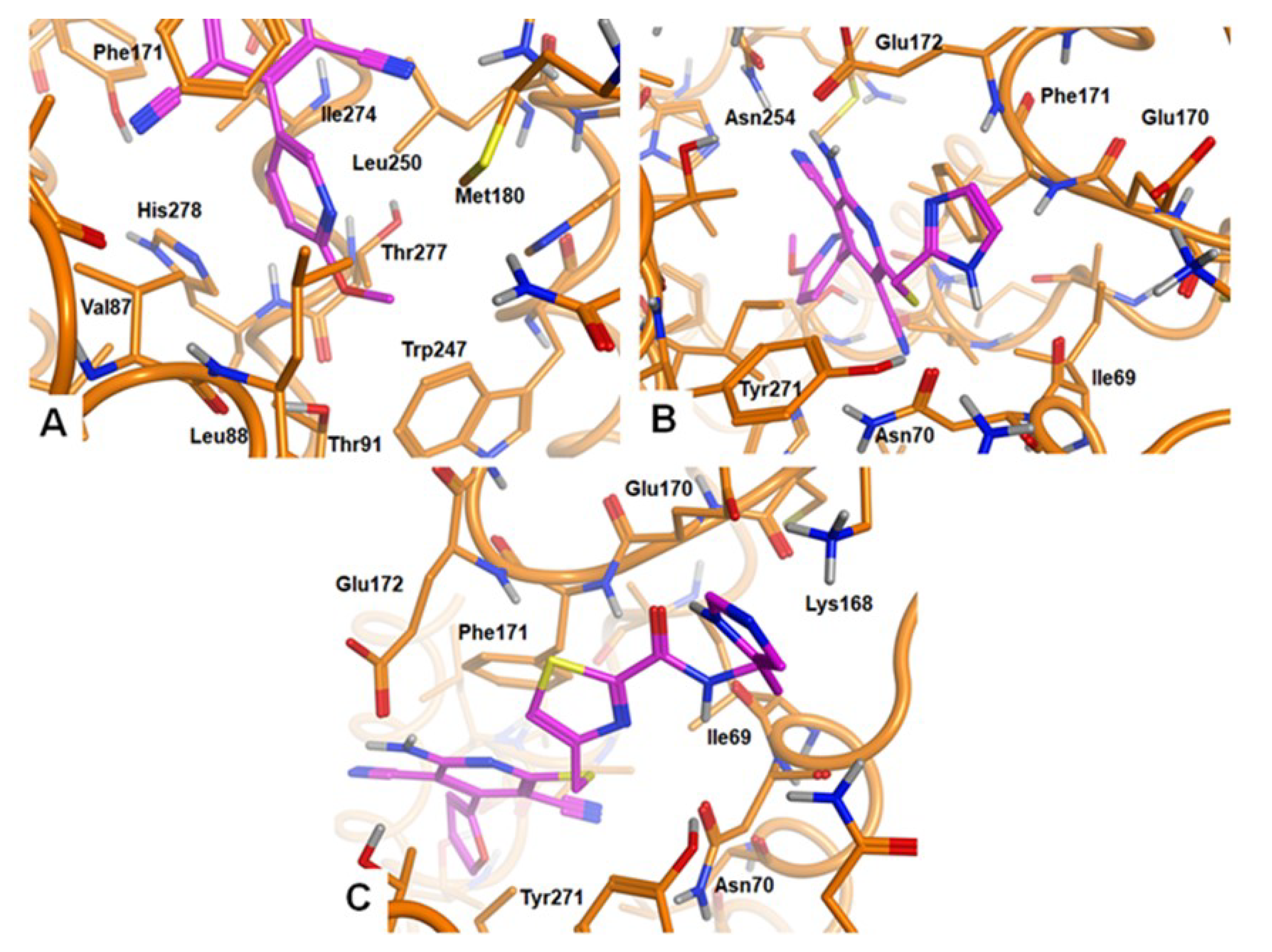 Pharmaceuticals 15 00478 g004 550