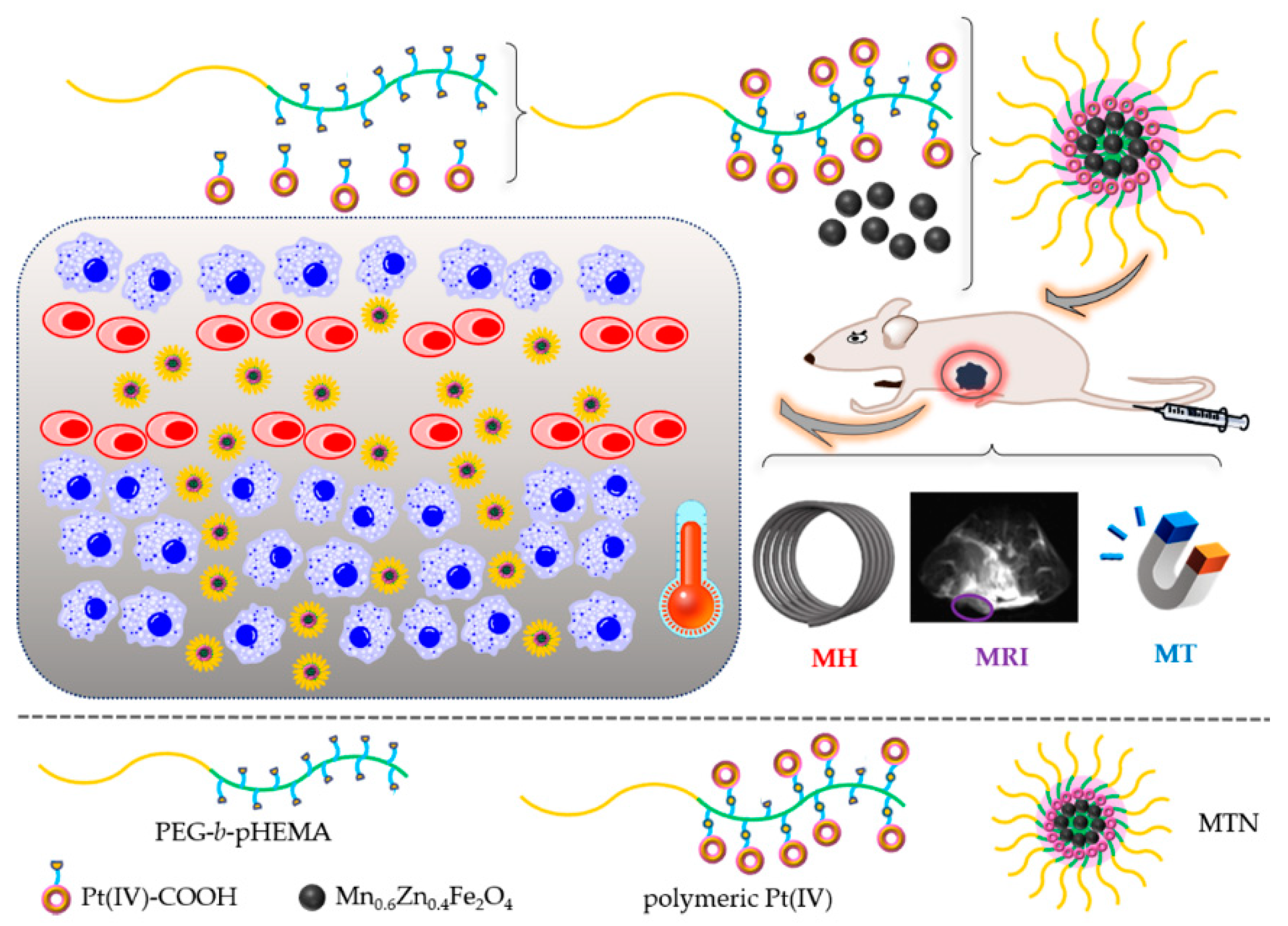 Pharmaceuticals 15 00480 g001 550
