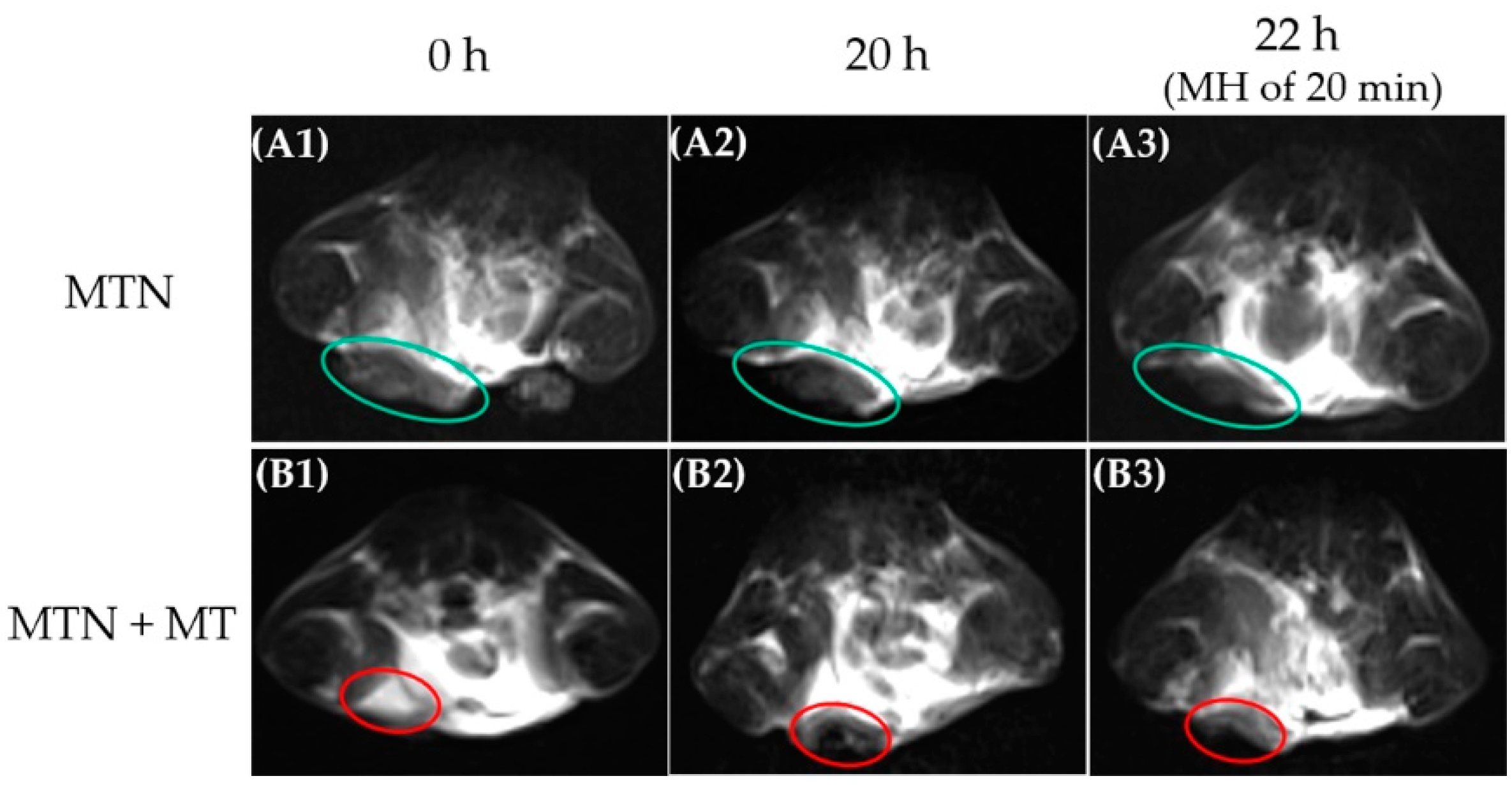 Pharmaceuticals 15 00480 g008 550
