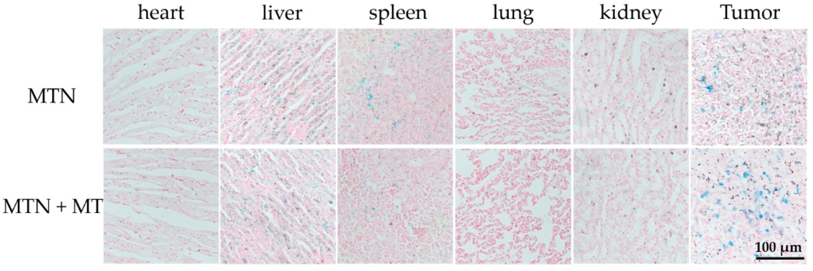 Pharmaceuticals 15 00480 g009 550