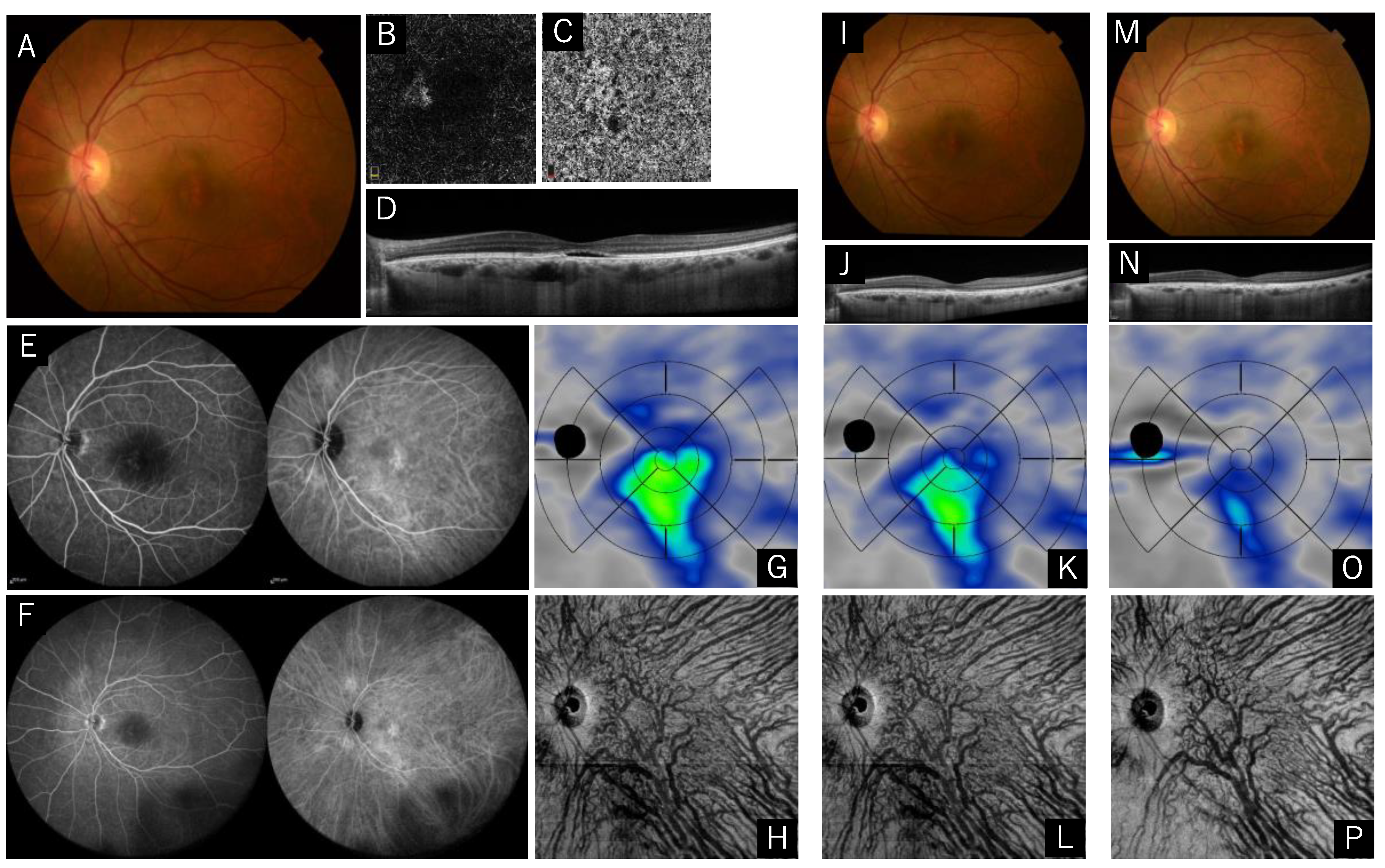 Pharmaceuticals 15 00483 g003