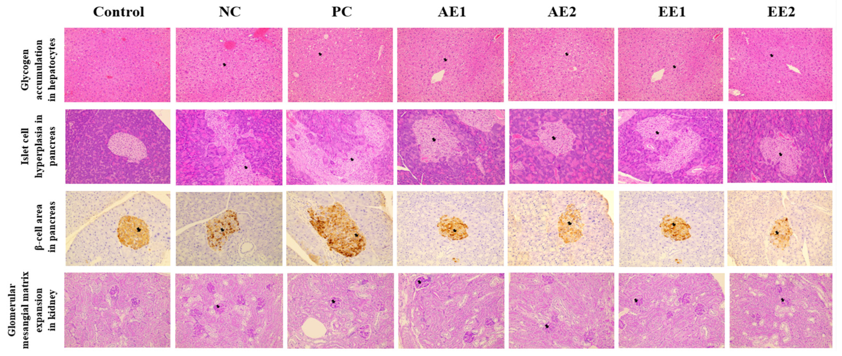 Pharmaceuticals 15 00486 g007