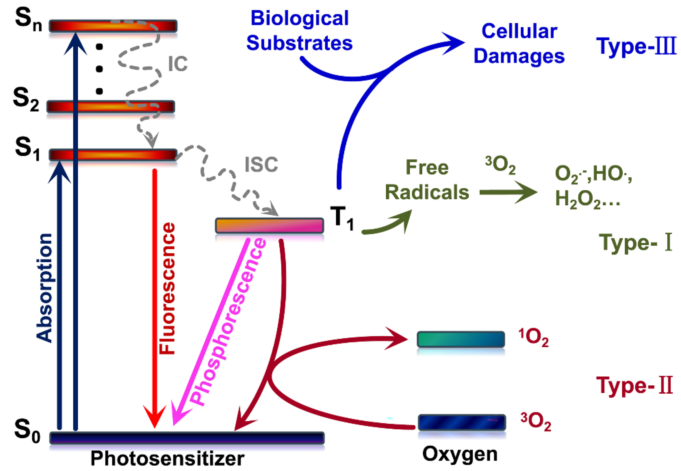Pharmaceuticals 15 00487 g002