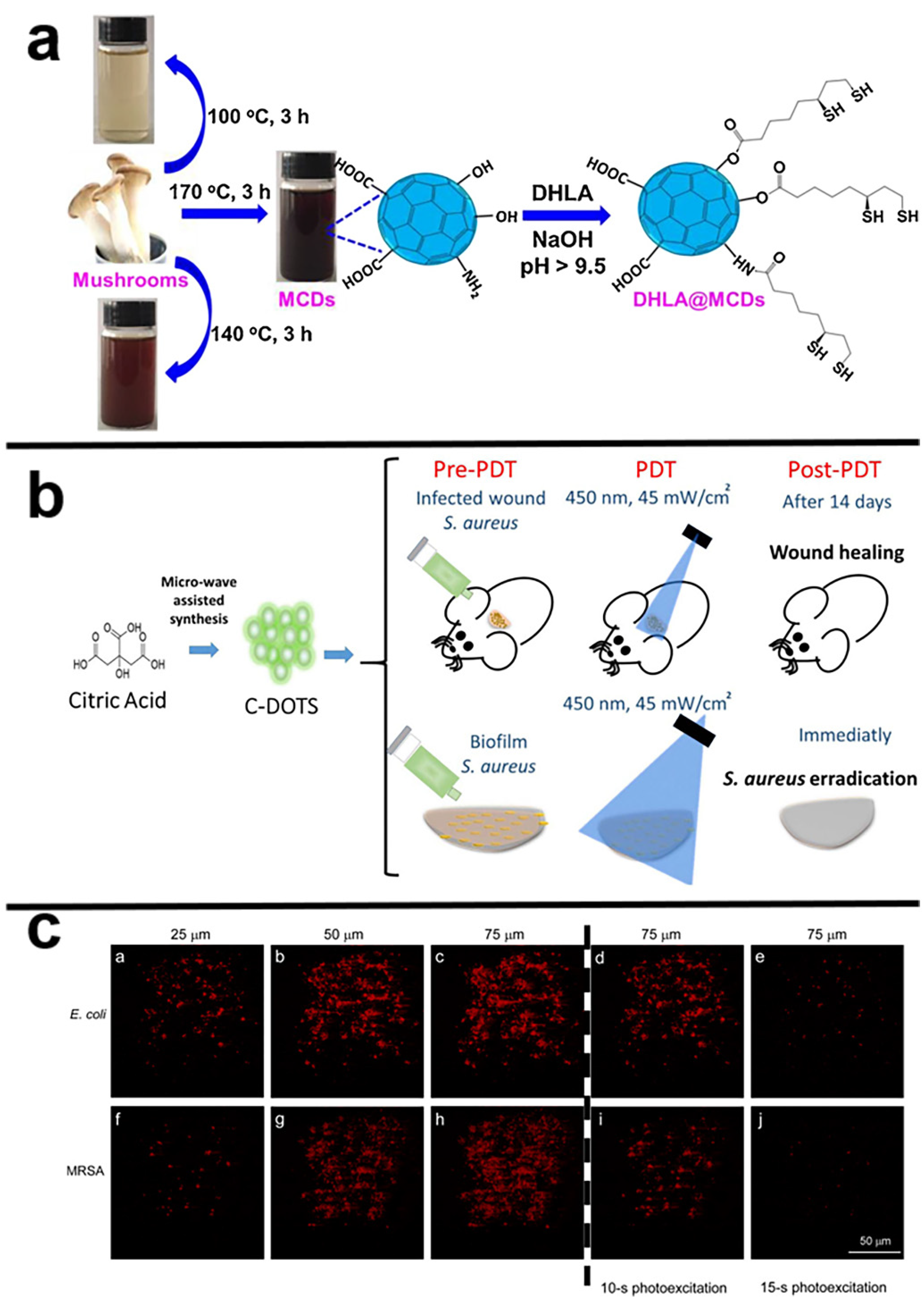 Pharmaceuticals 15 00487 g003