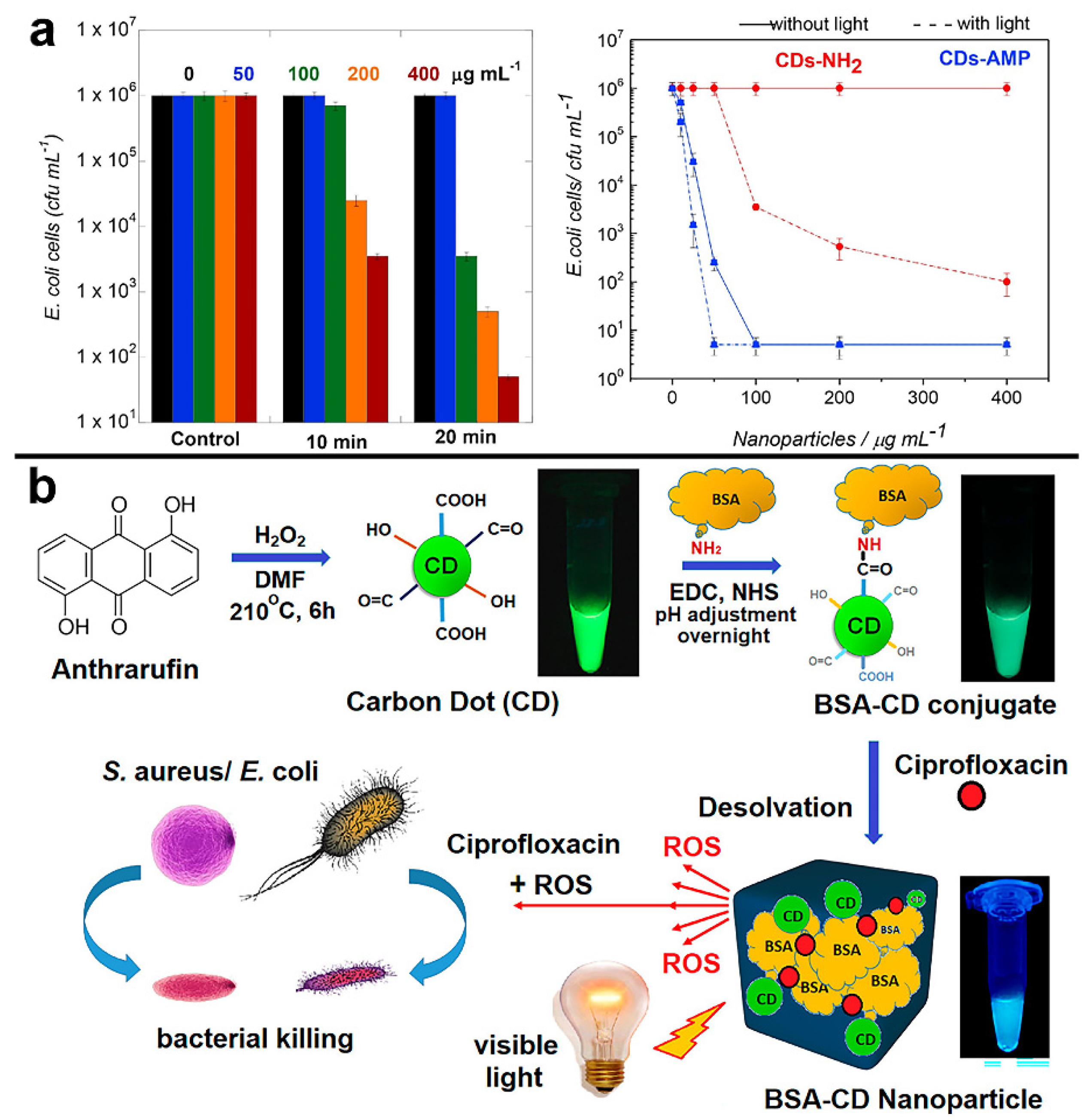 Pharmaceuticals 15 00487 g005
