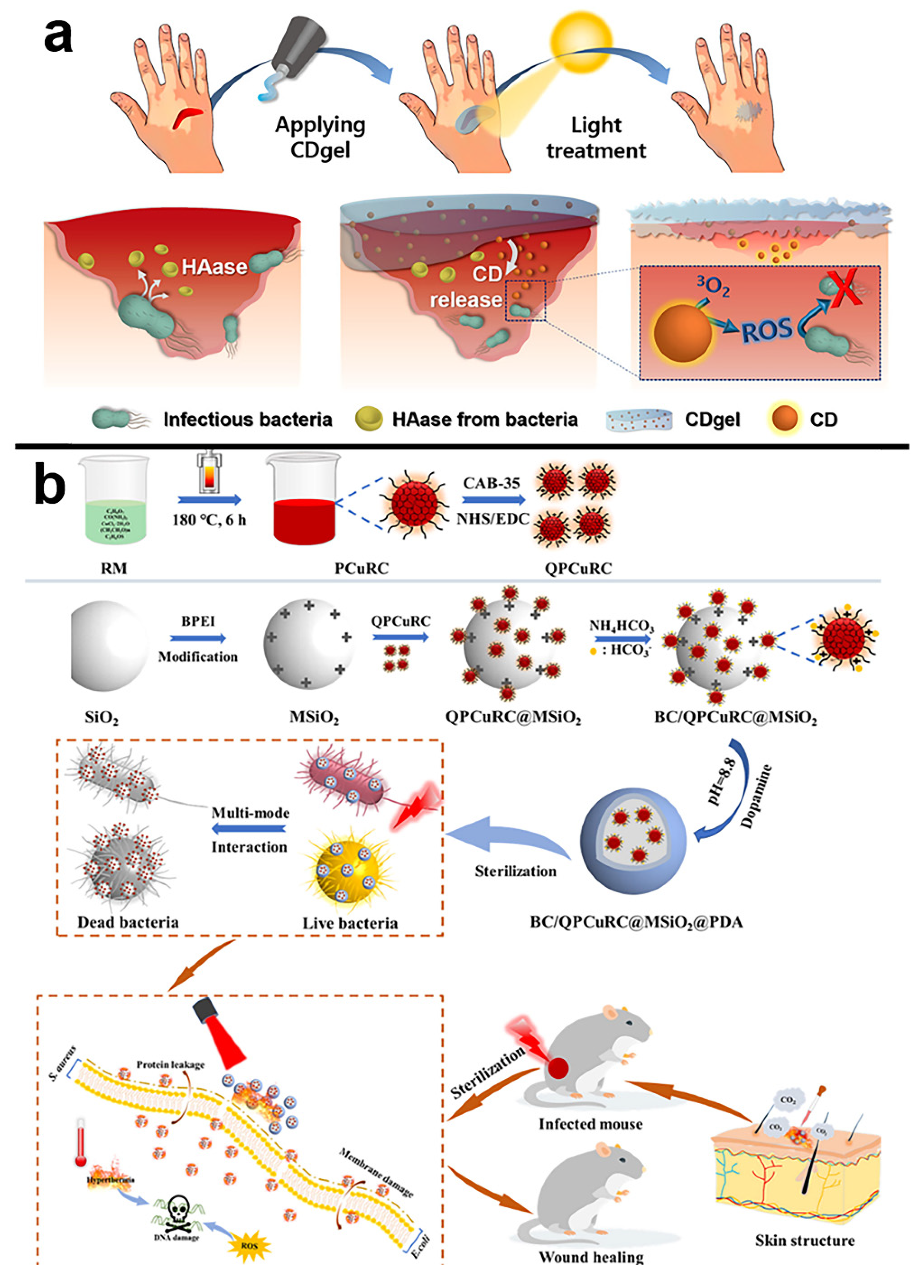 Pharmaceuticals 15 00487 g007