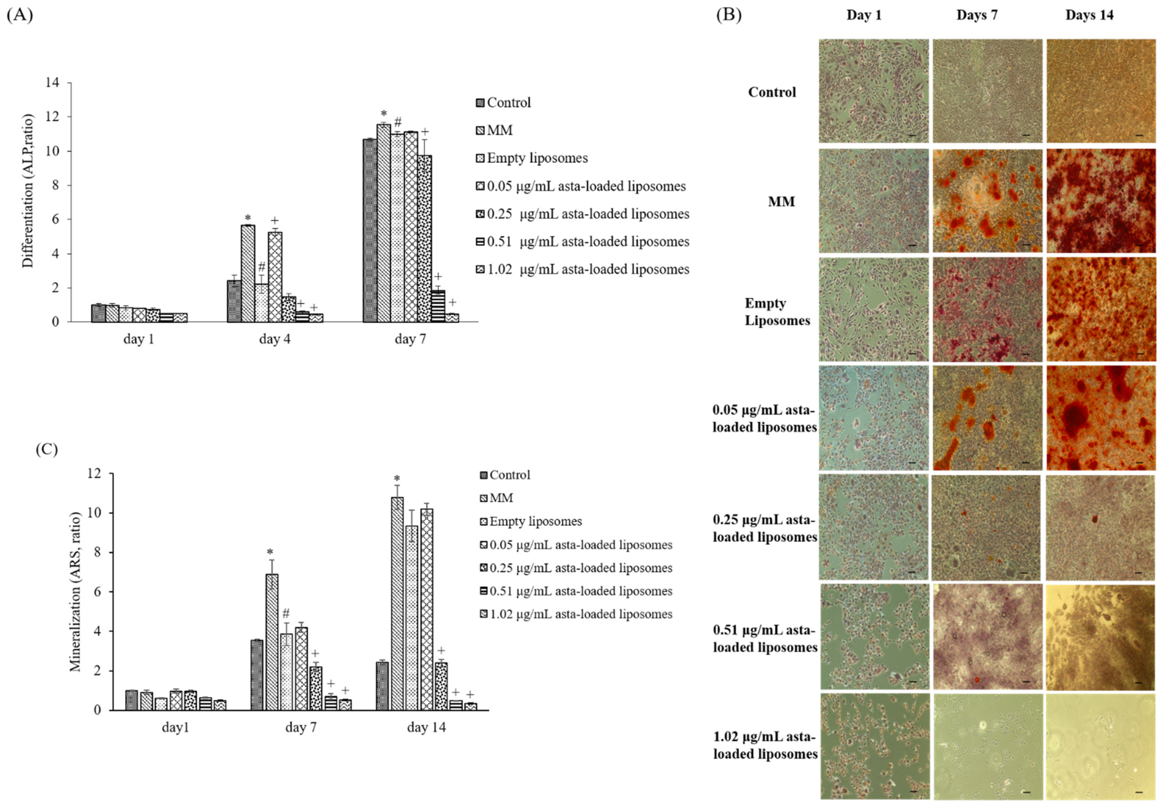 Pharmaceuticals 15 00490 g009 550