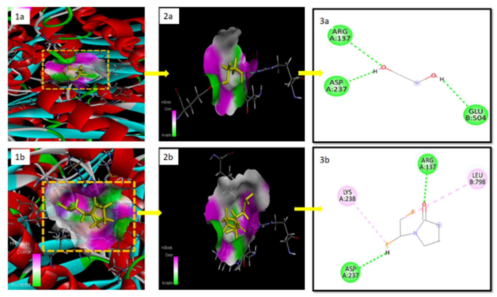 Pharmaceuticals 15 00492 g008a