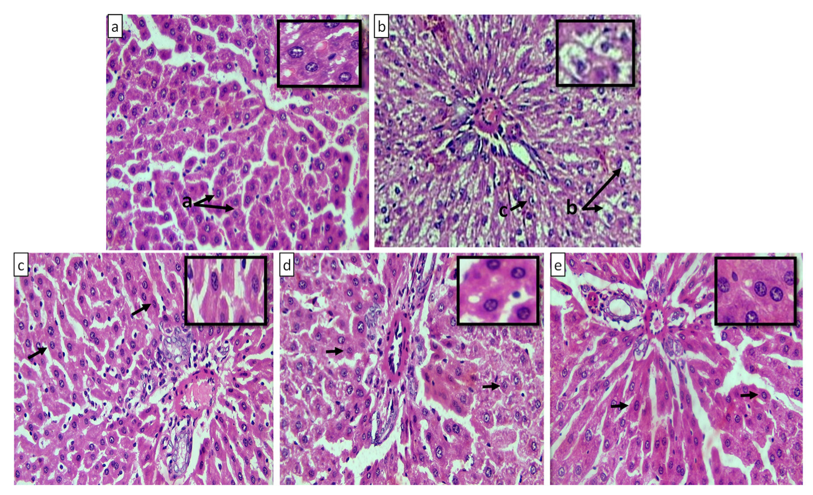 Pharmaceuticals 15 00492 g015