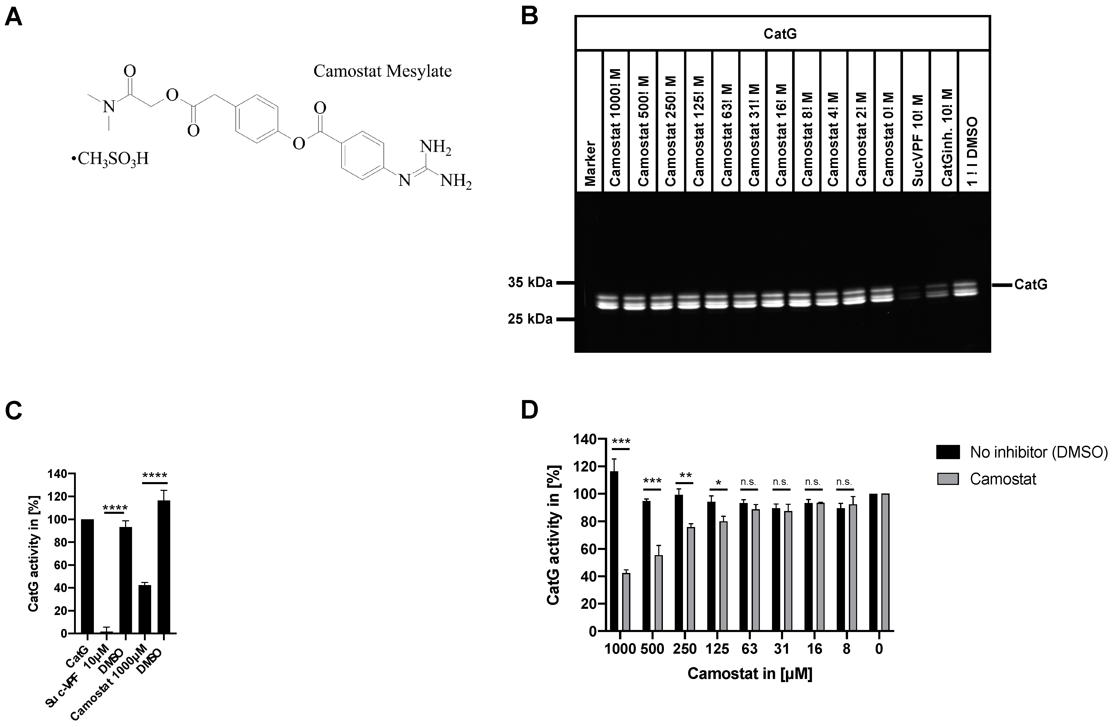 Pharmaceuticals 15 00500 g001