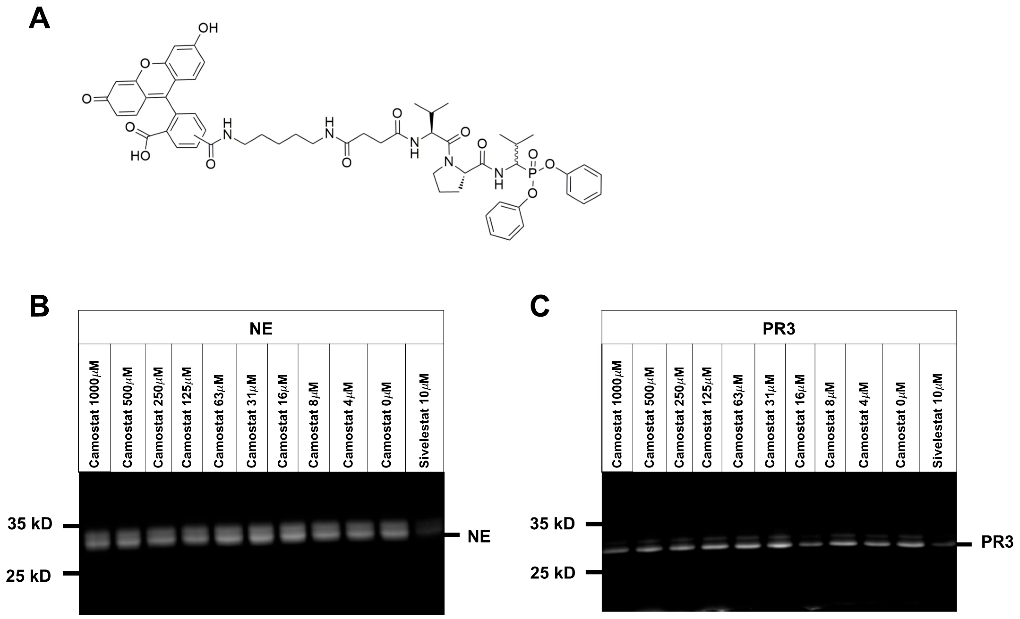 Pharmaceuticals 15 00500 g002