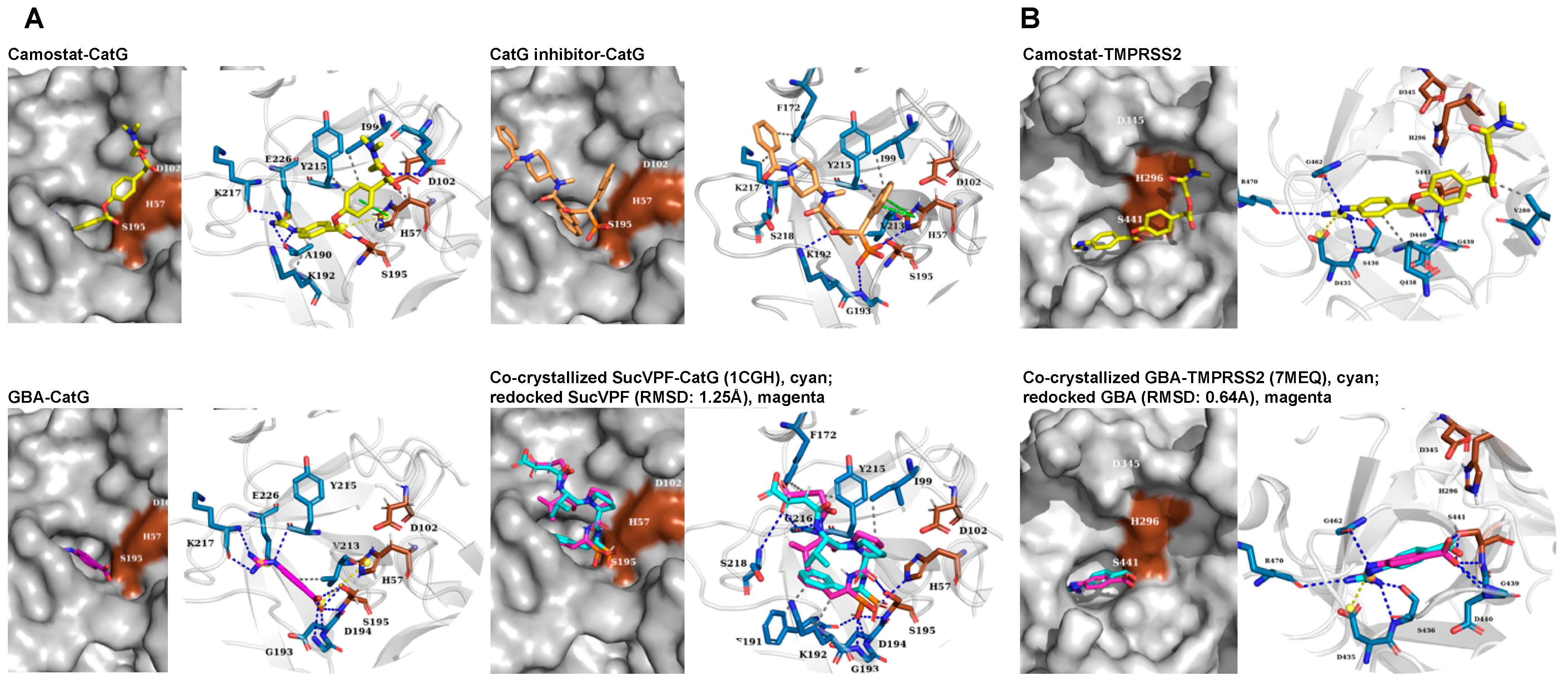 Pharmaceuticals 15 00500 g003